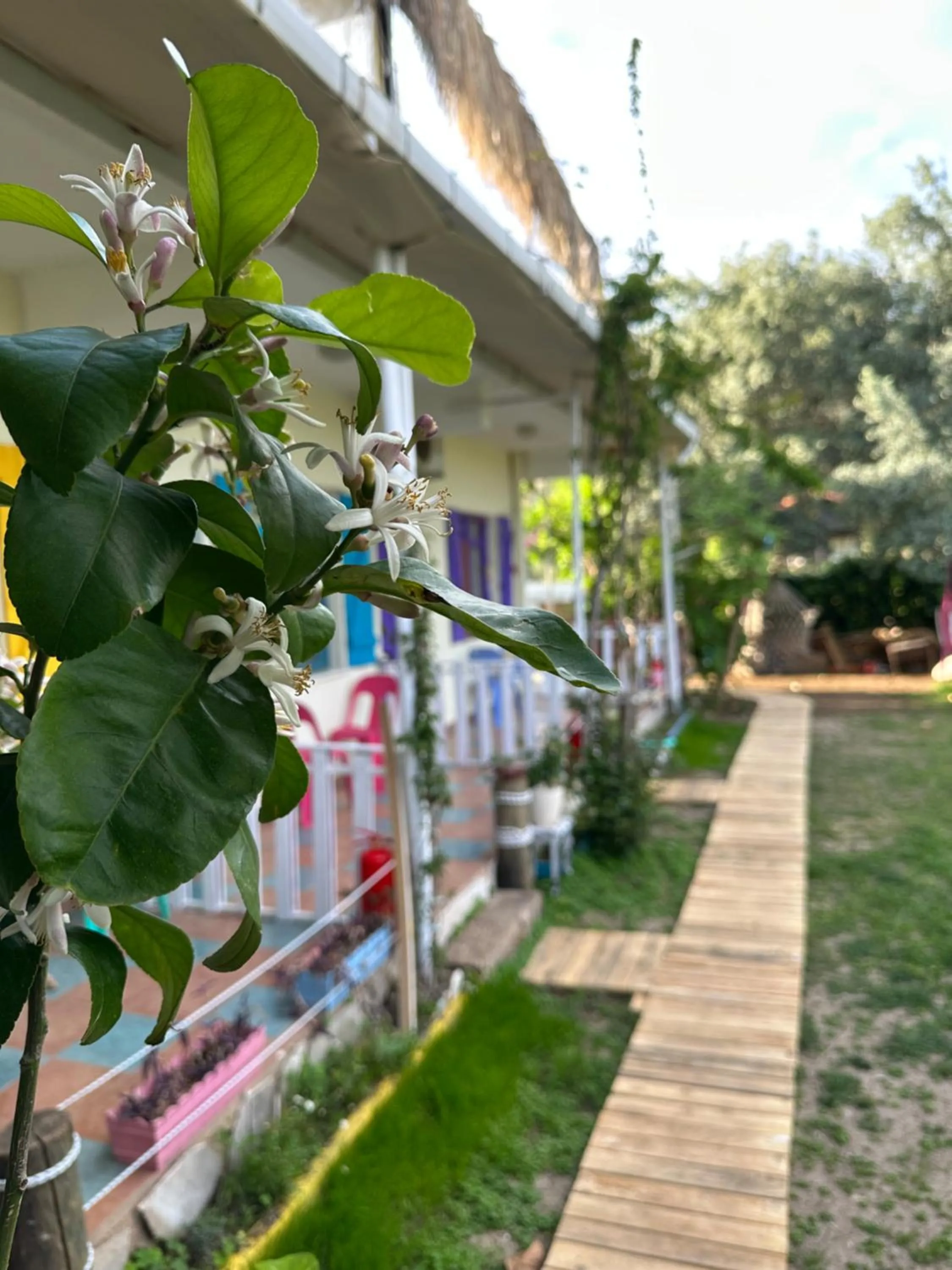 GAYA PANSİYON ÇIRALI