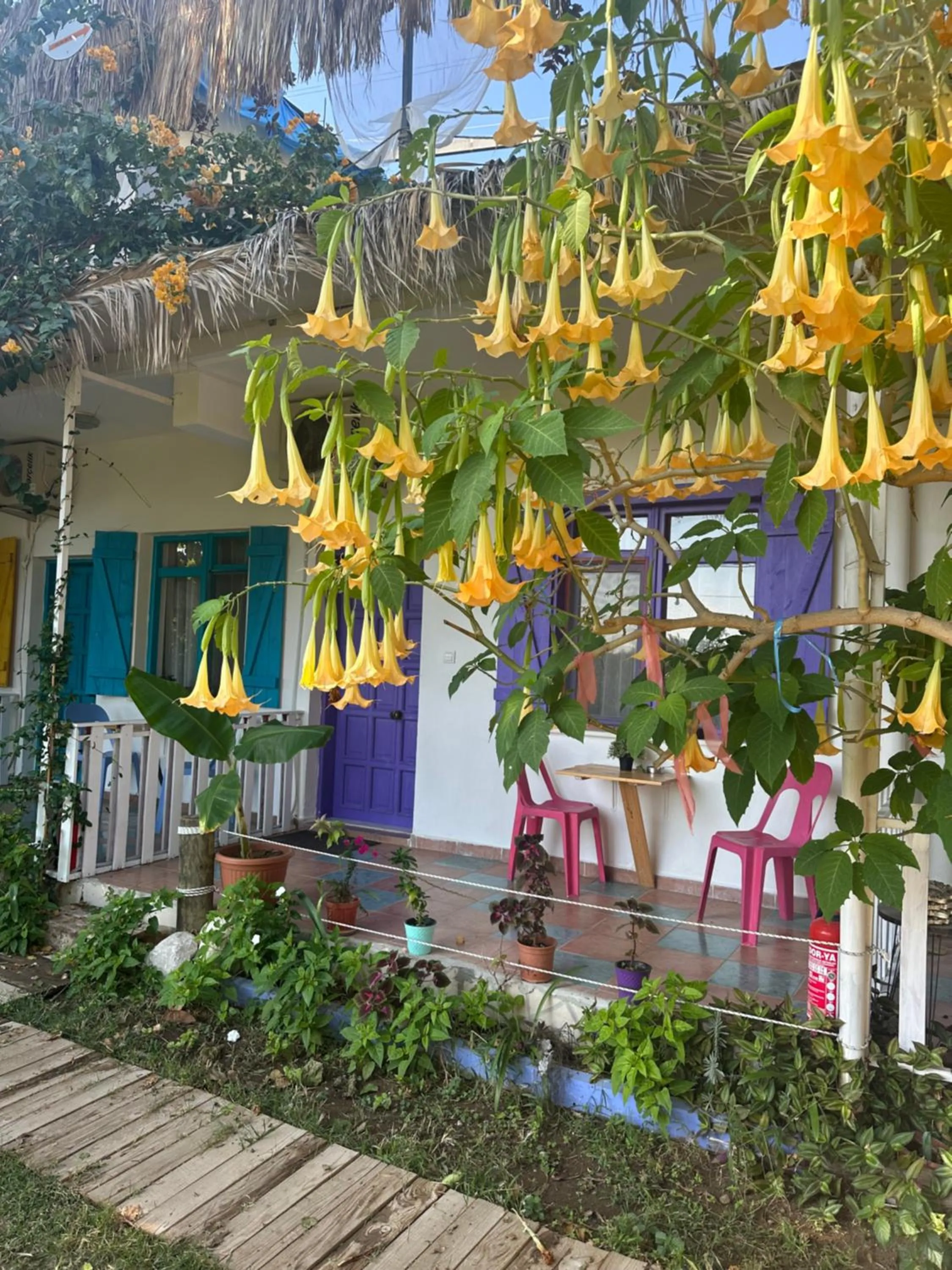 GAYA PANSİYON ÇIRALI