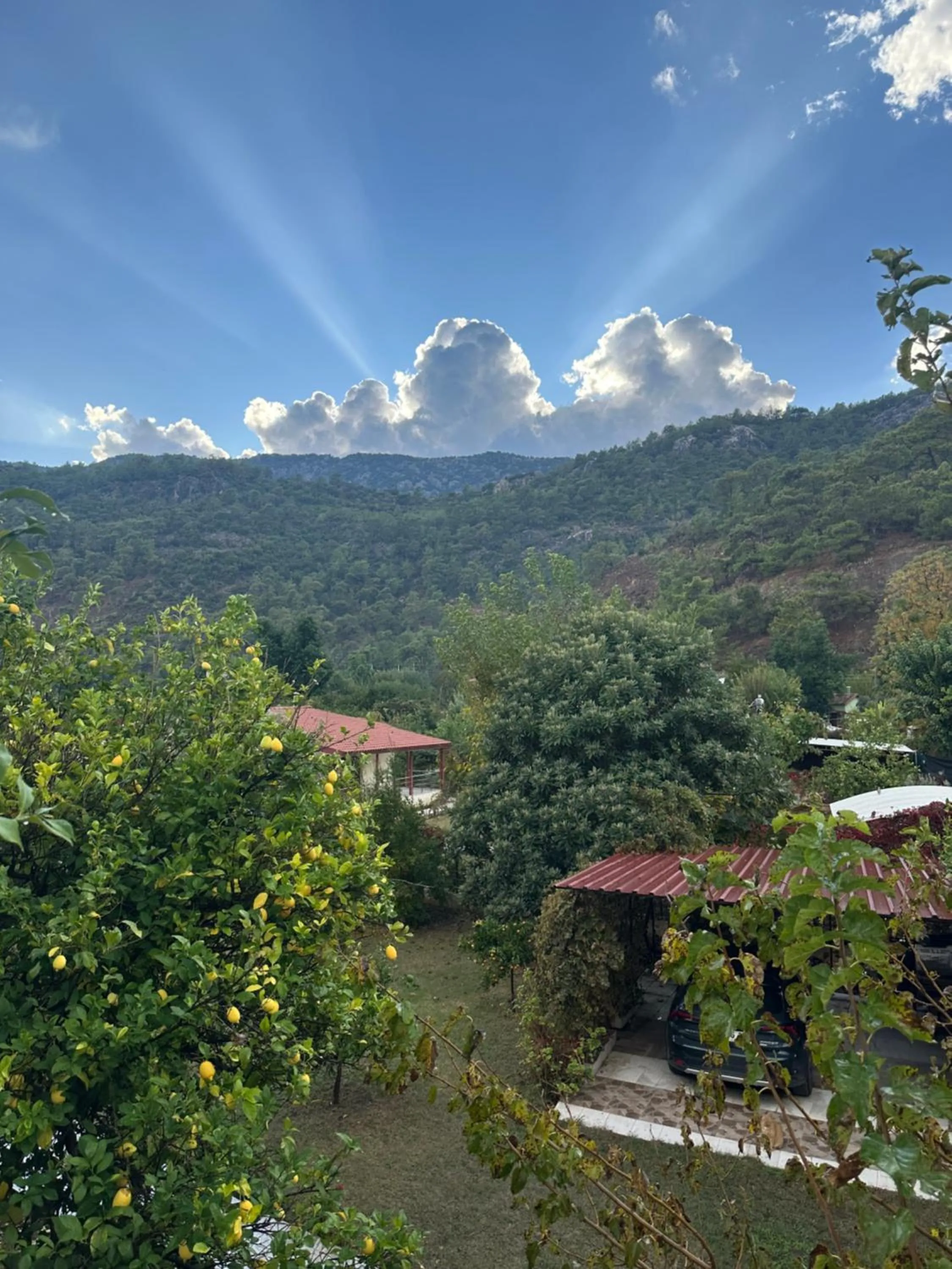 Spring in GAYA PANSİYON ÇIRALI