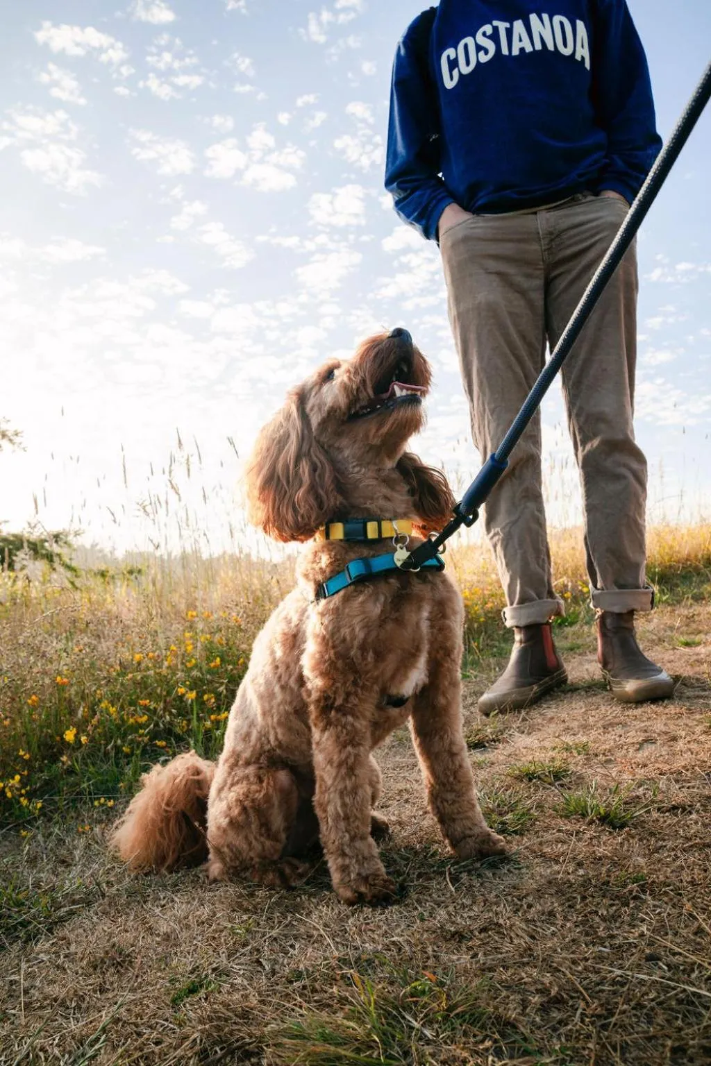 pet friendly in Costanoa
