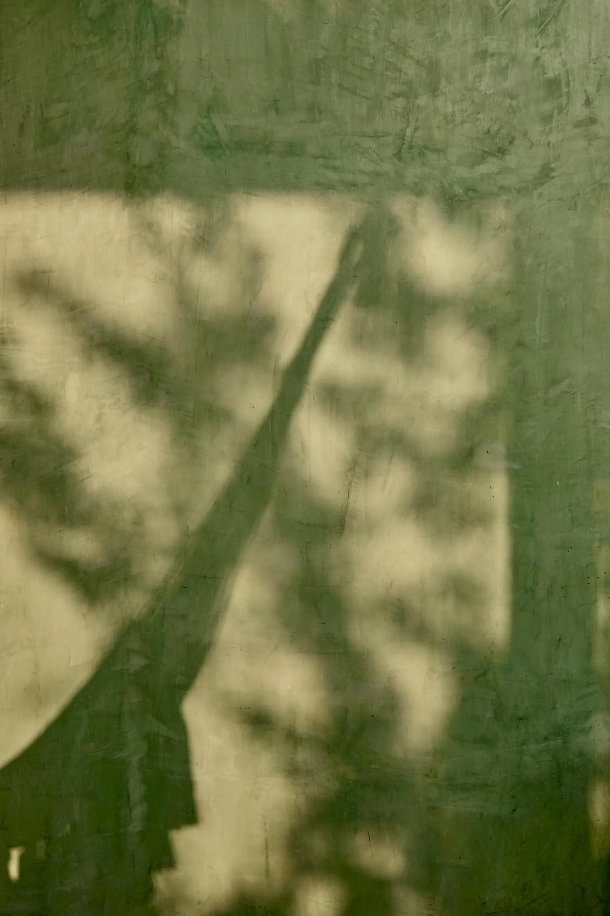 Punta Nayaá - Adults Only