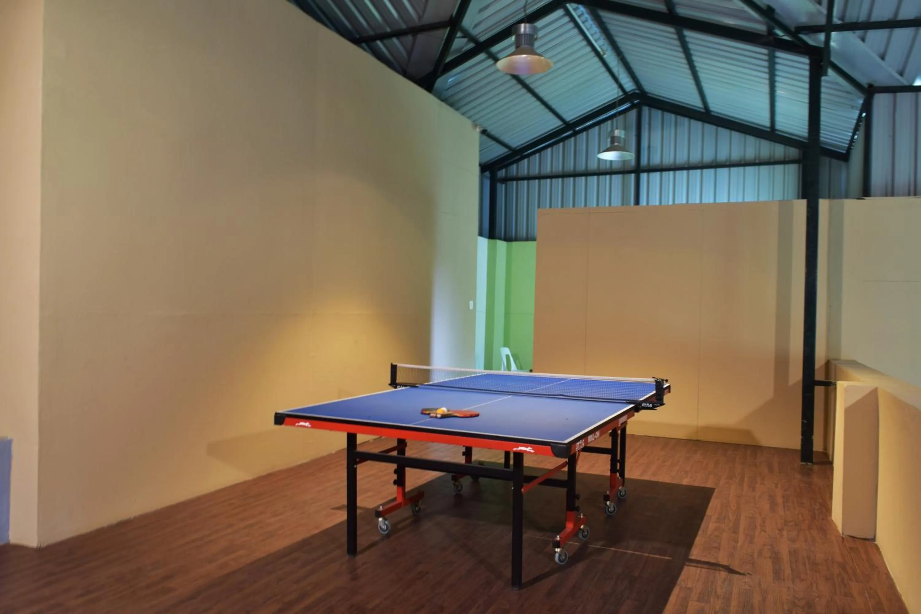 Table tennis in Avadale Kodaikanal - Stag Groups Not Allowed
