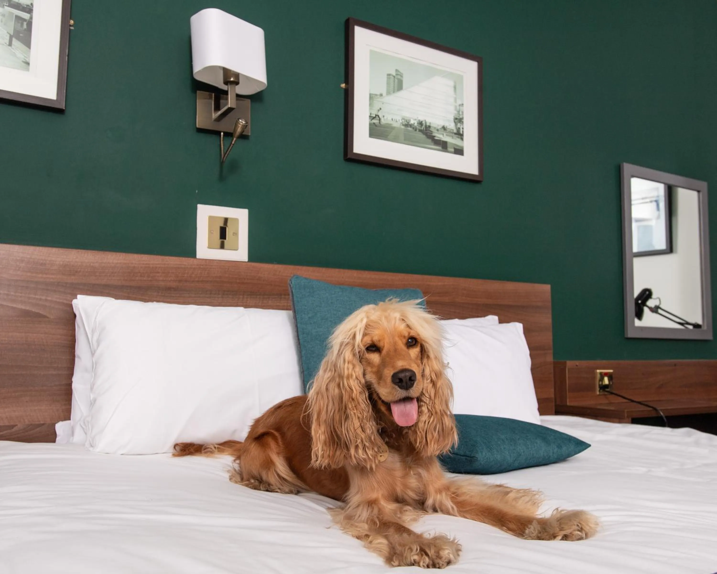 Bed in Castlefield Hotel