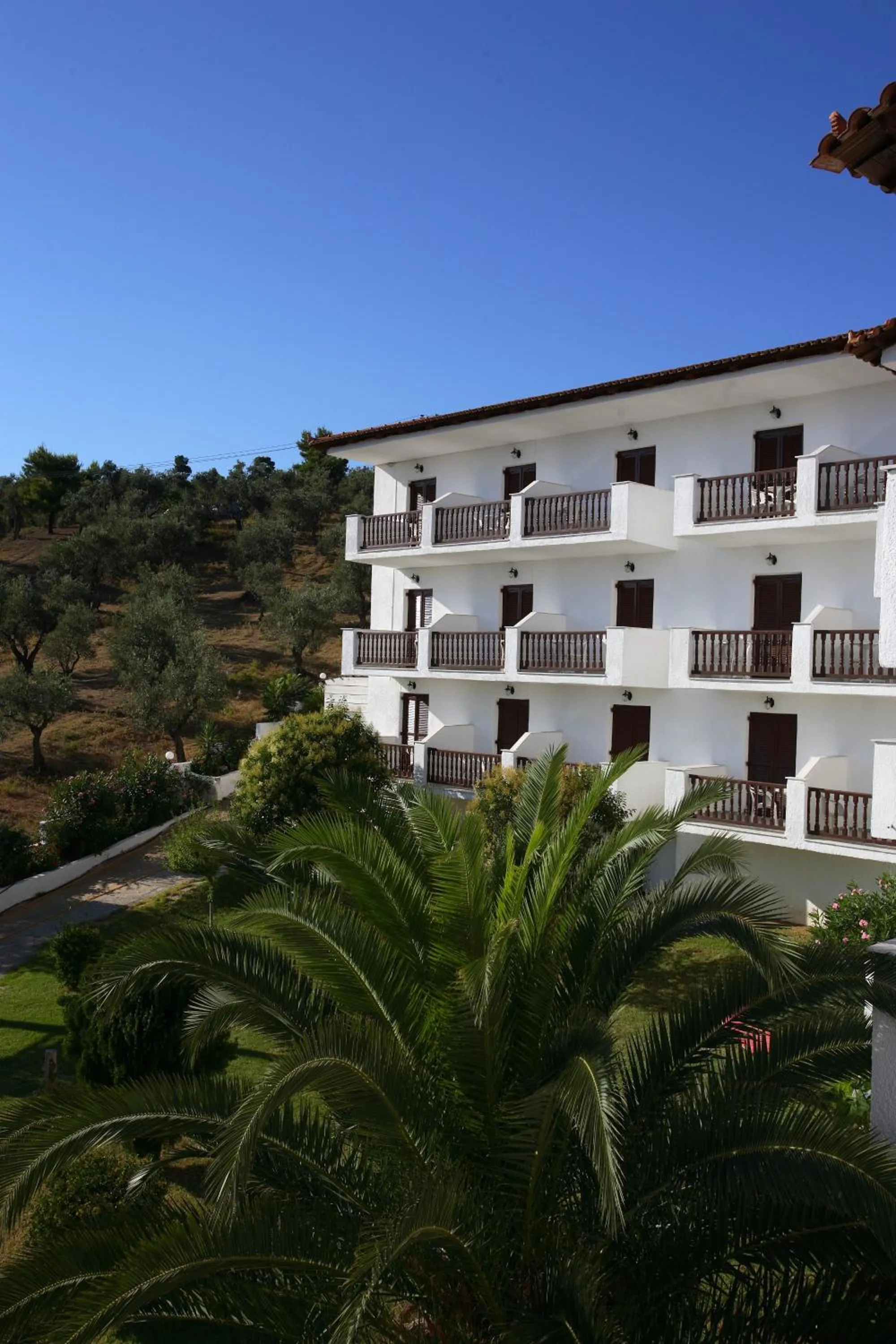Facade/entrance in Hotel Paradise