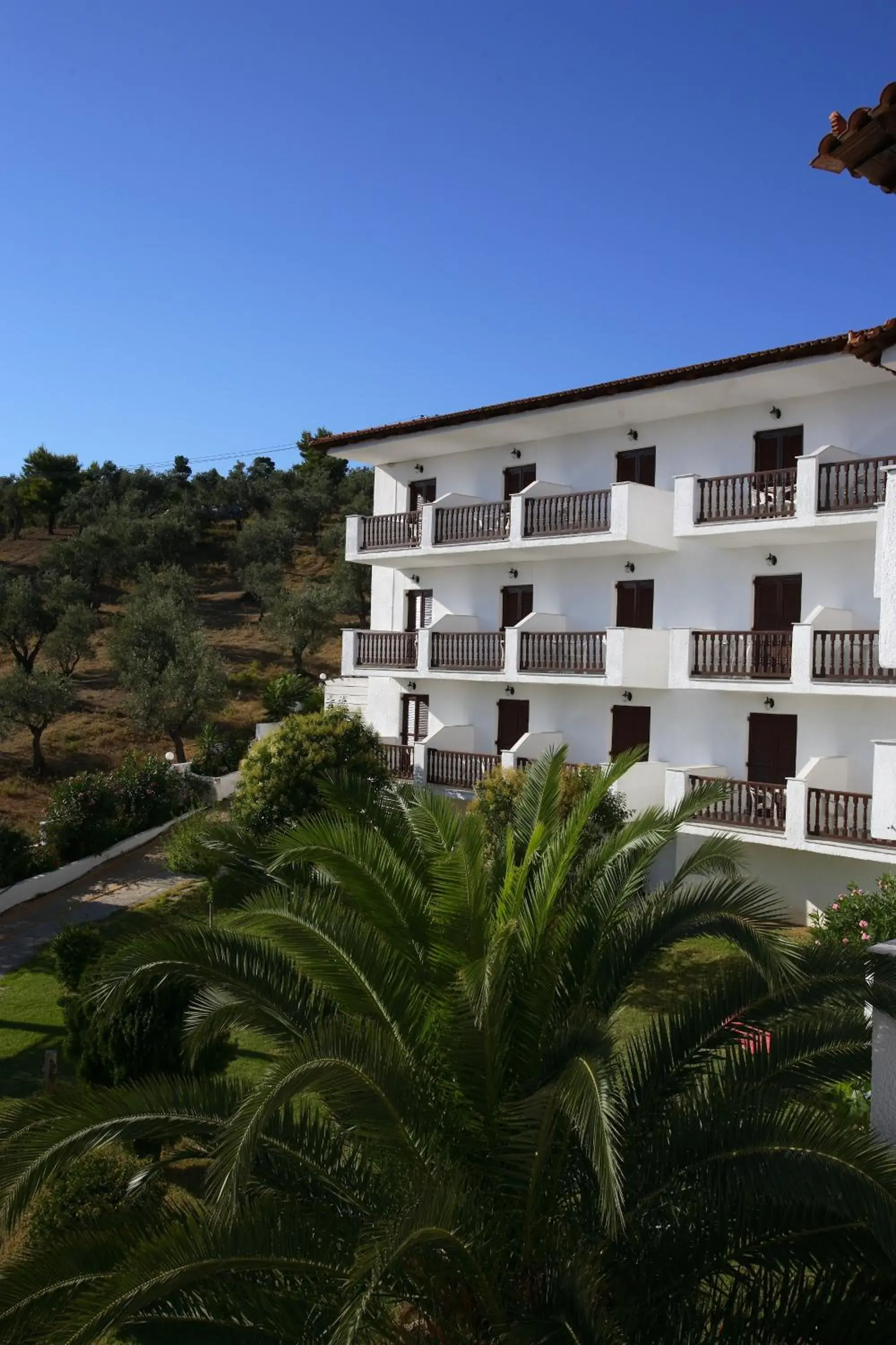 Twin Room with Garden View in Hotel Paradise Twin Room with Garden View in Hotel Paradise