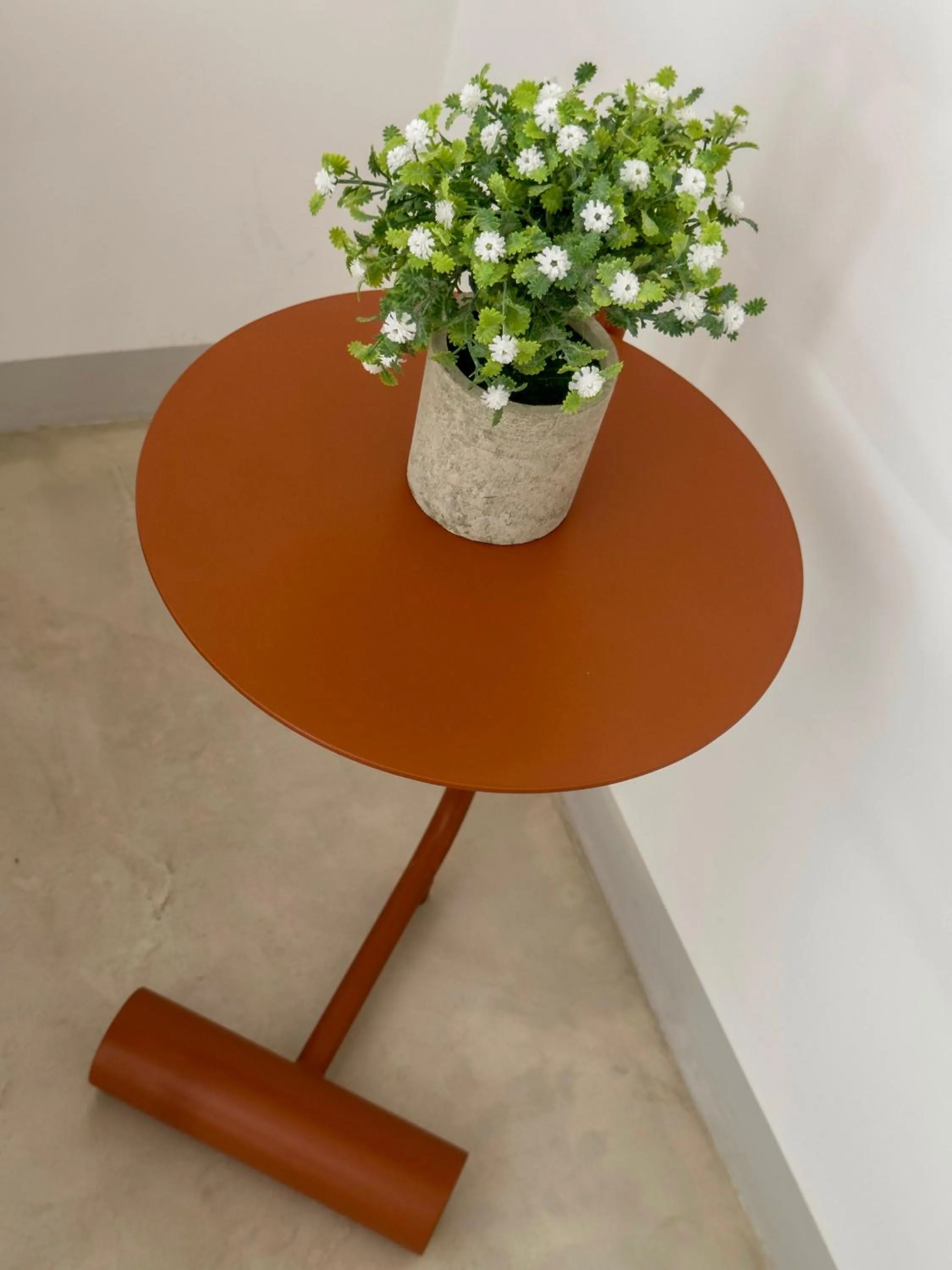 Quinta Lolita - La Paz Baja California Sur