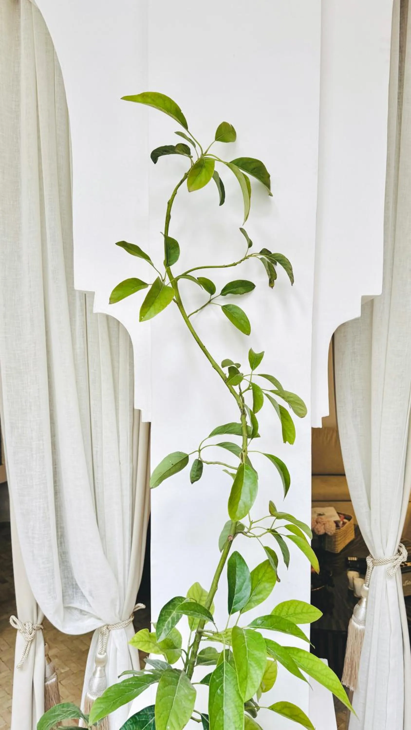 Riad El Khaeir - Piscine, Hamam & Spa