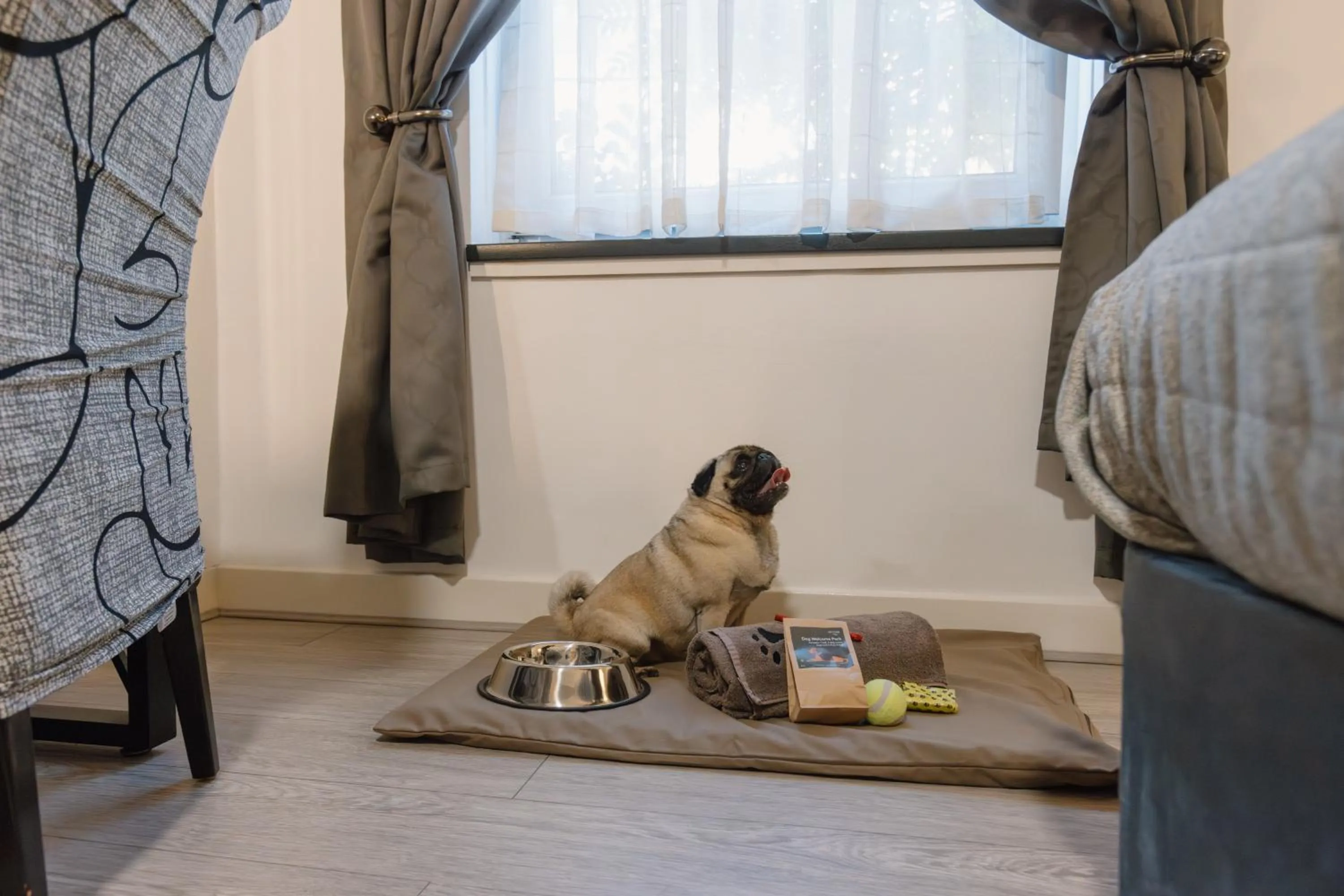 Pets in Durrant House Hotel