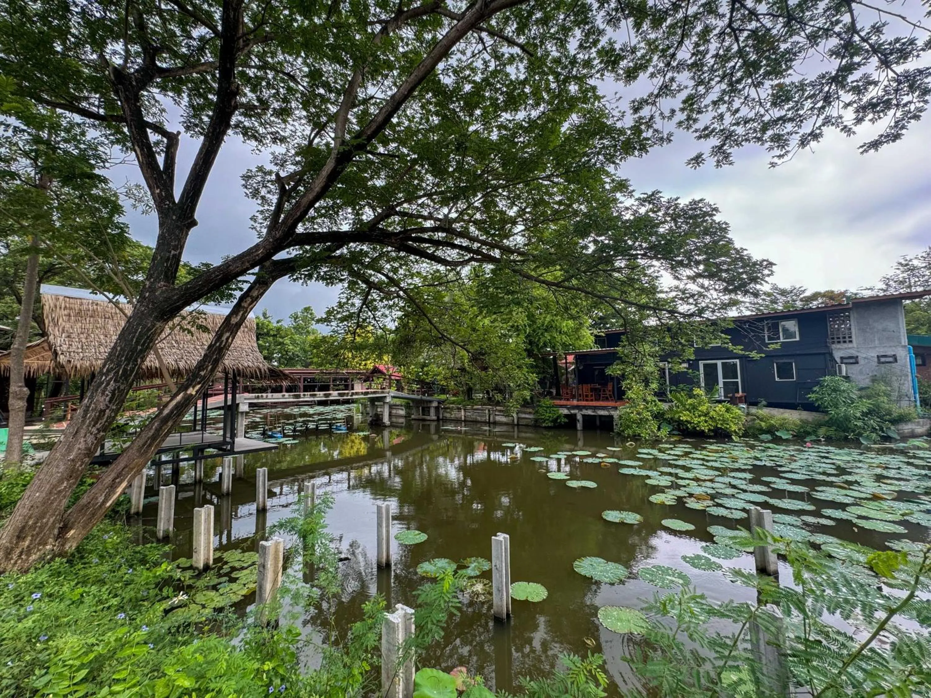 Area and facilities in Suree Garden Resort & Karaoke