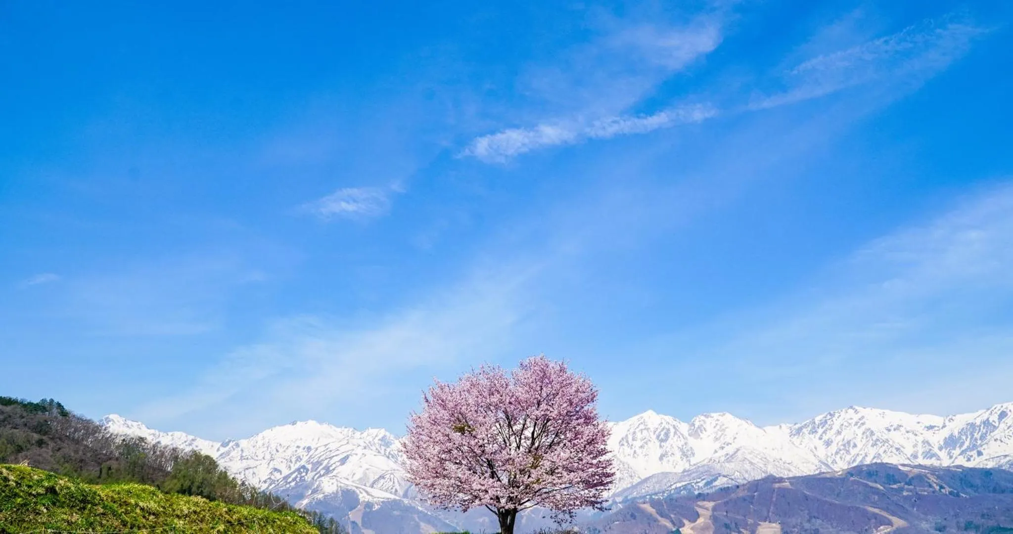 Off site in HOTEL LA VIGNE HAKUBA by Onko Chishin
