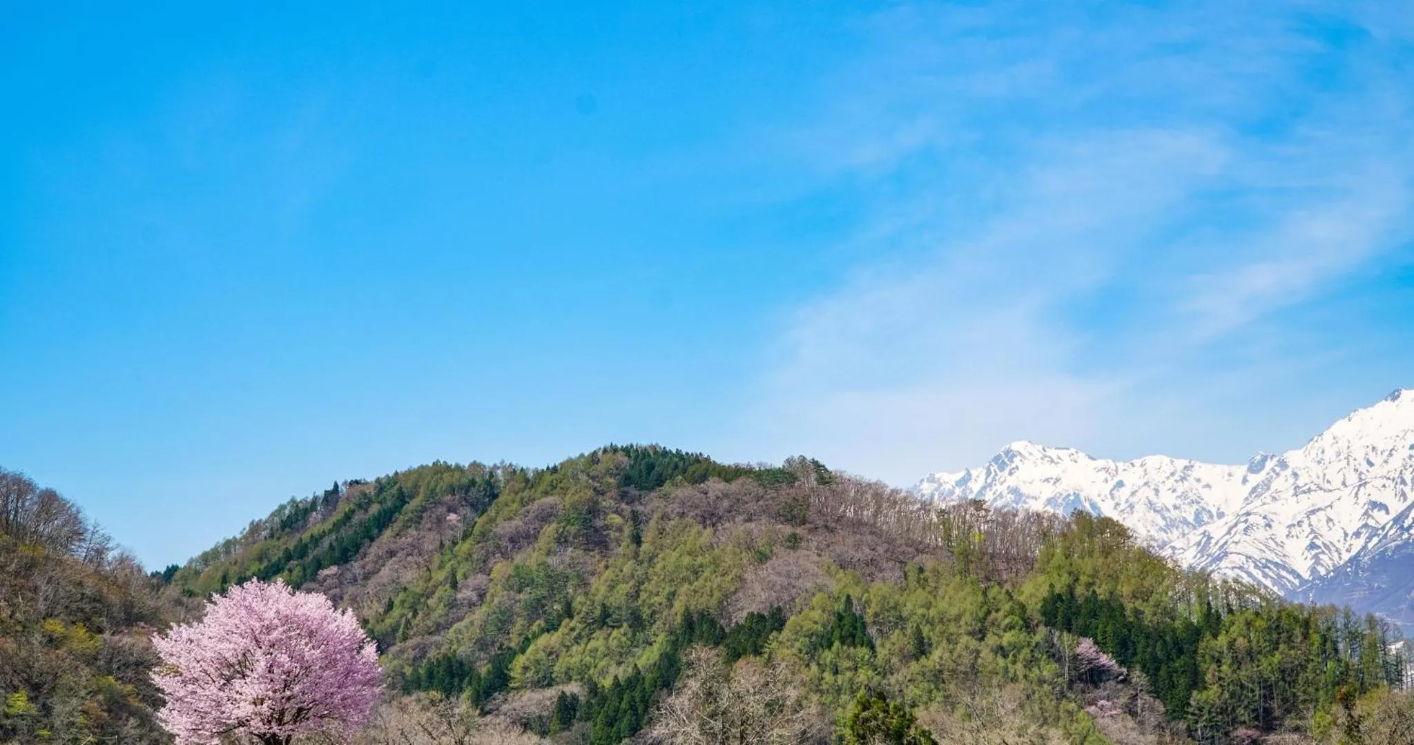 Off site in HOTEL LA VIGNE HAKUBA by Onko Chishin