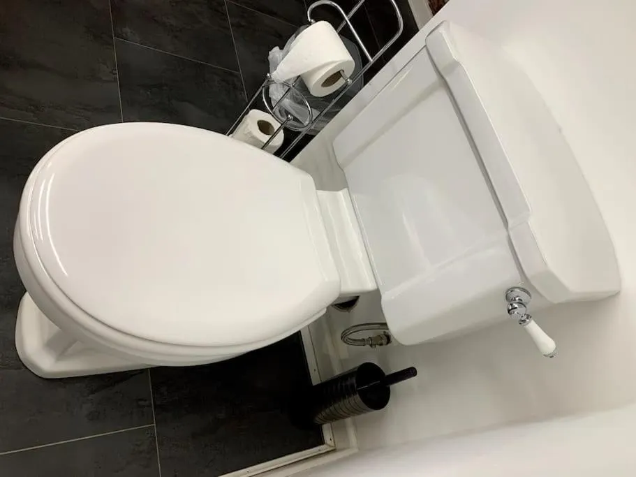 Toilet in Ivy Mount Boutique