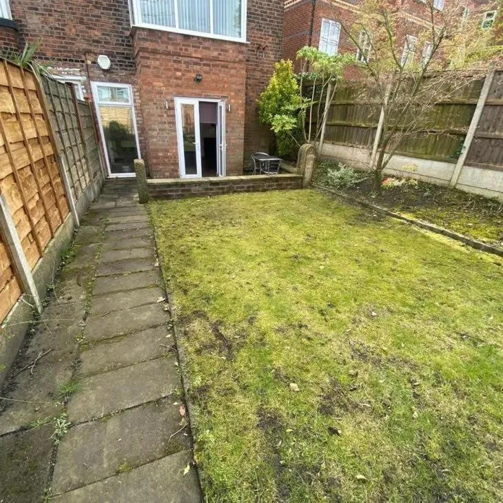 Garden view in Ivy Mount Boutique