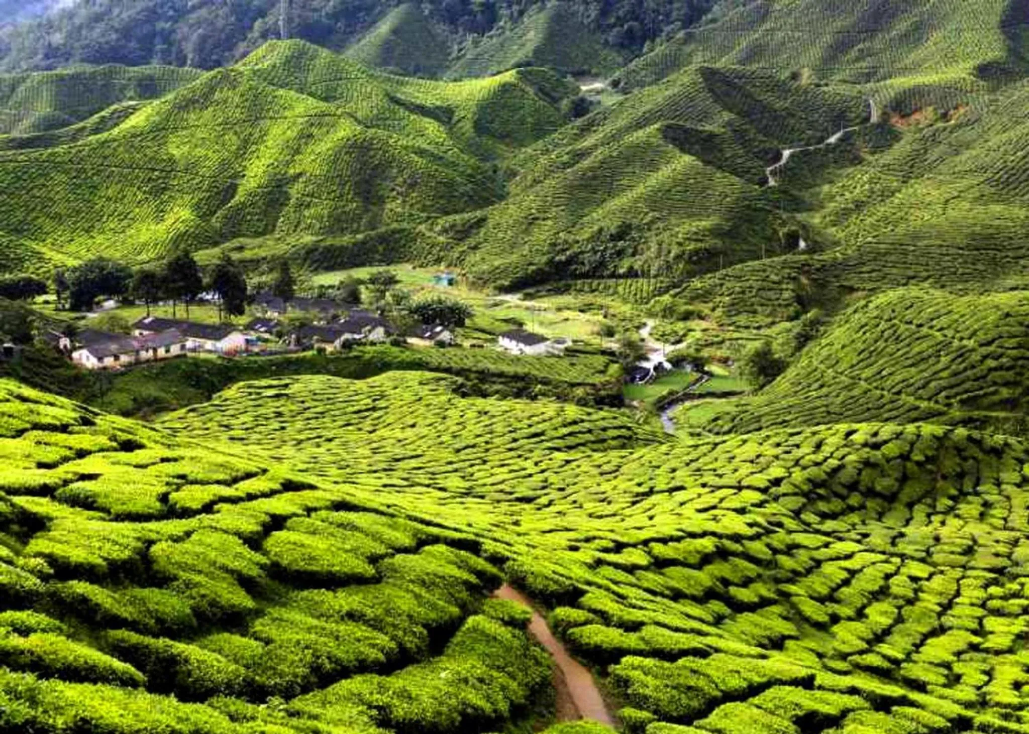 Nearby landmark in ARK Serendah Hotel