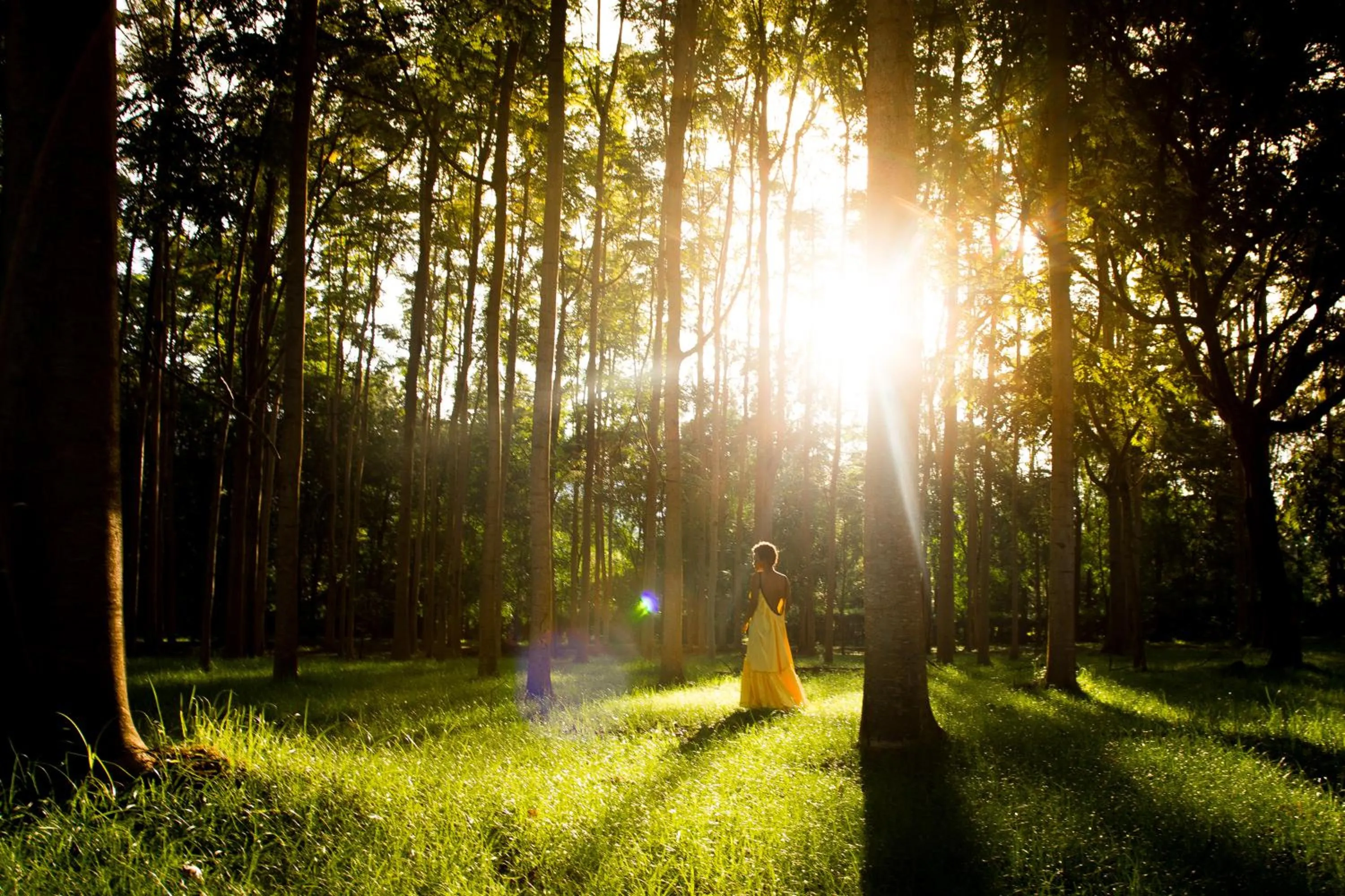 KILEMAKYARO Mt LODGE