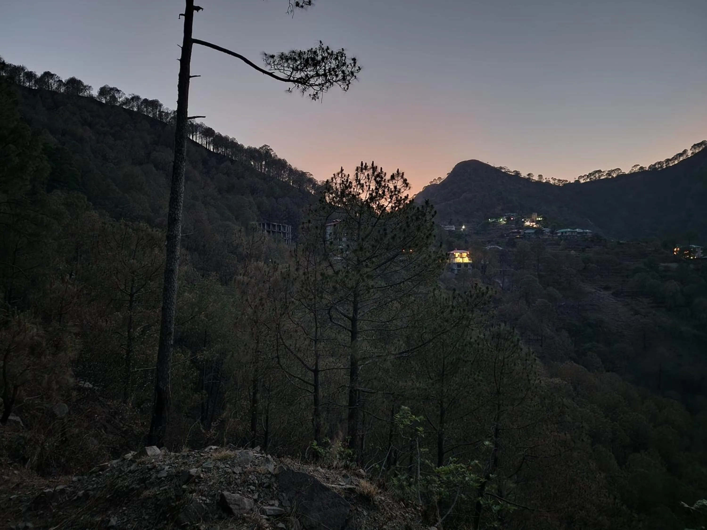 Neighbourhood in Pihu's Nest Kasauli