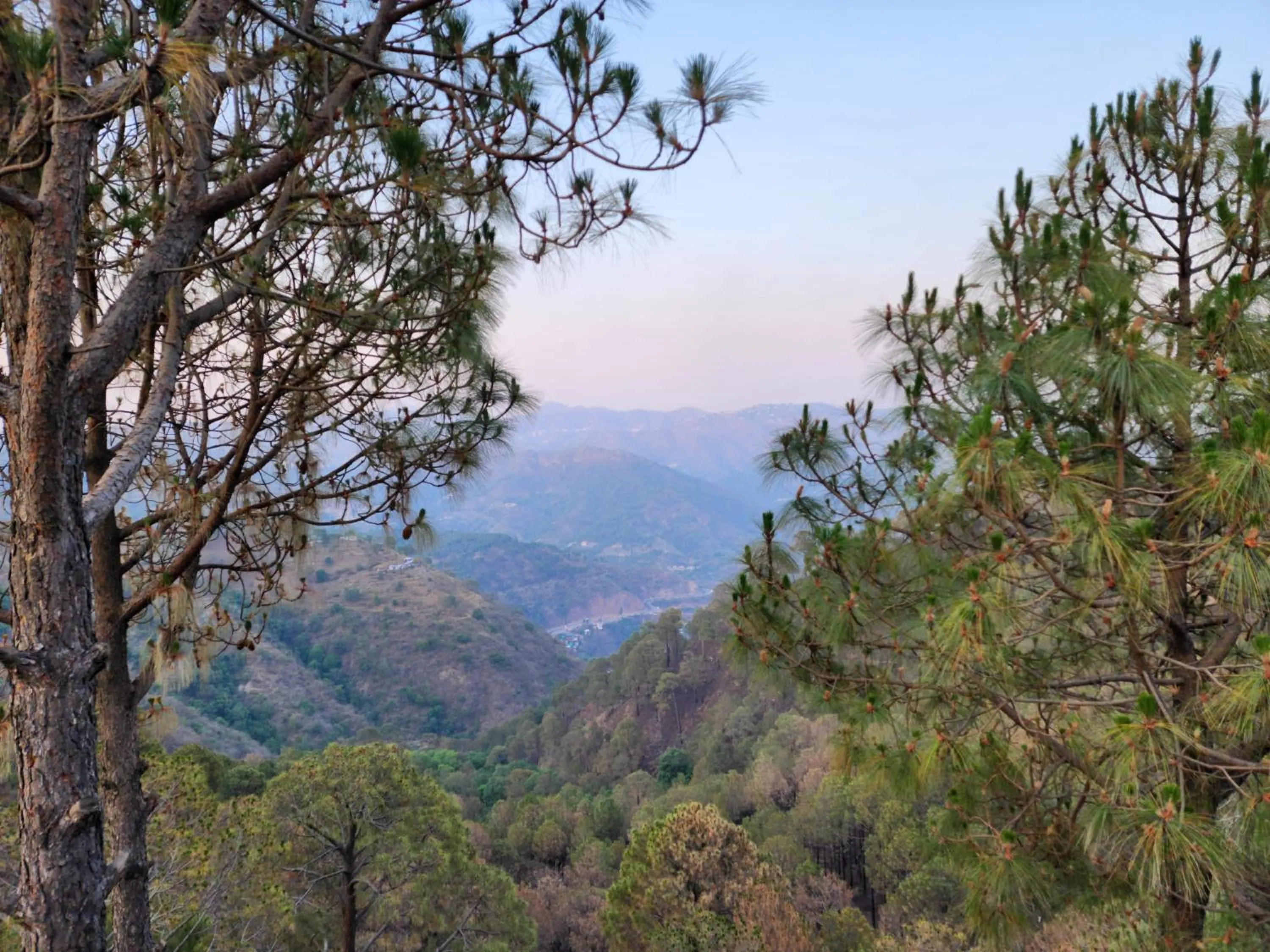 Mountain view in Pihu's Nest Kasauli