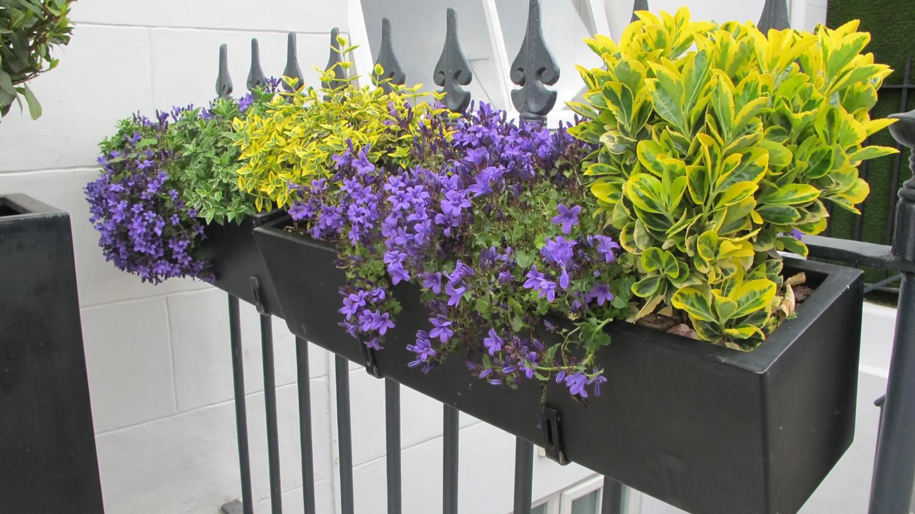 Property building in Alhambra Hotel