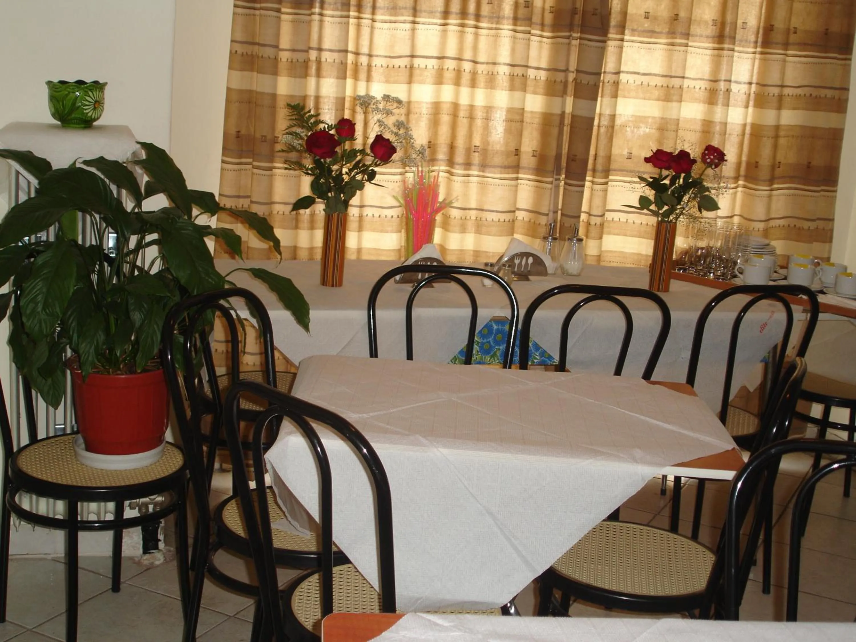 Restaurant/places to eat in Elite Hotel