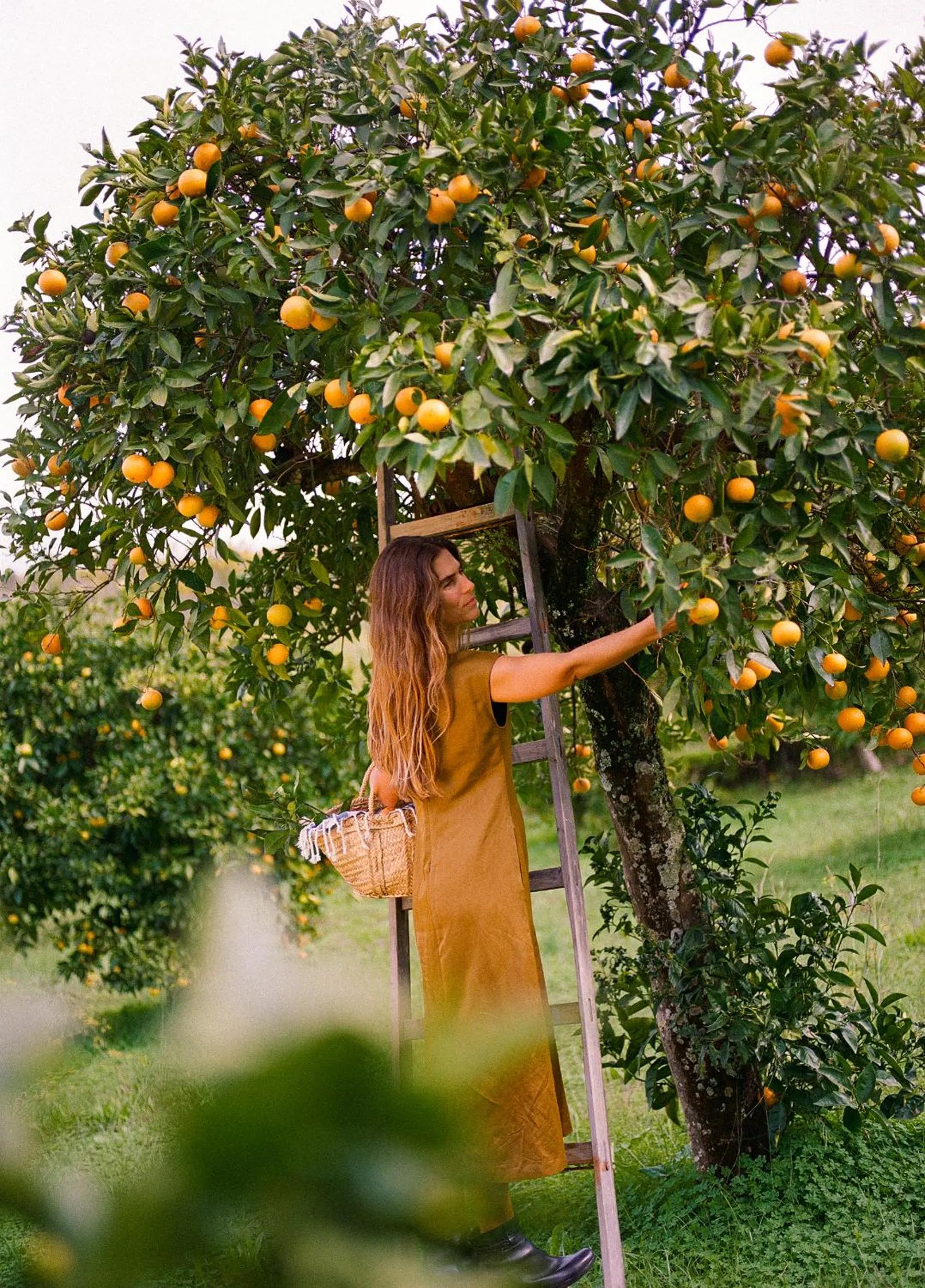 Location in Viceroy at Ombria Algarve