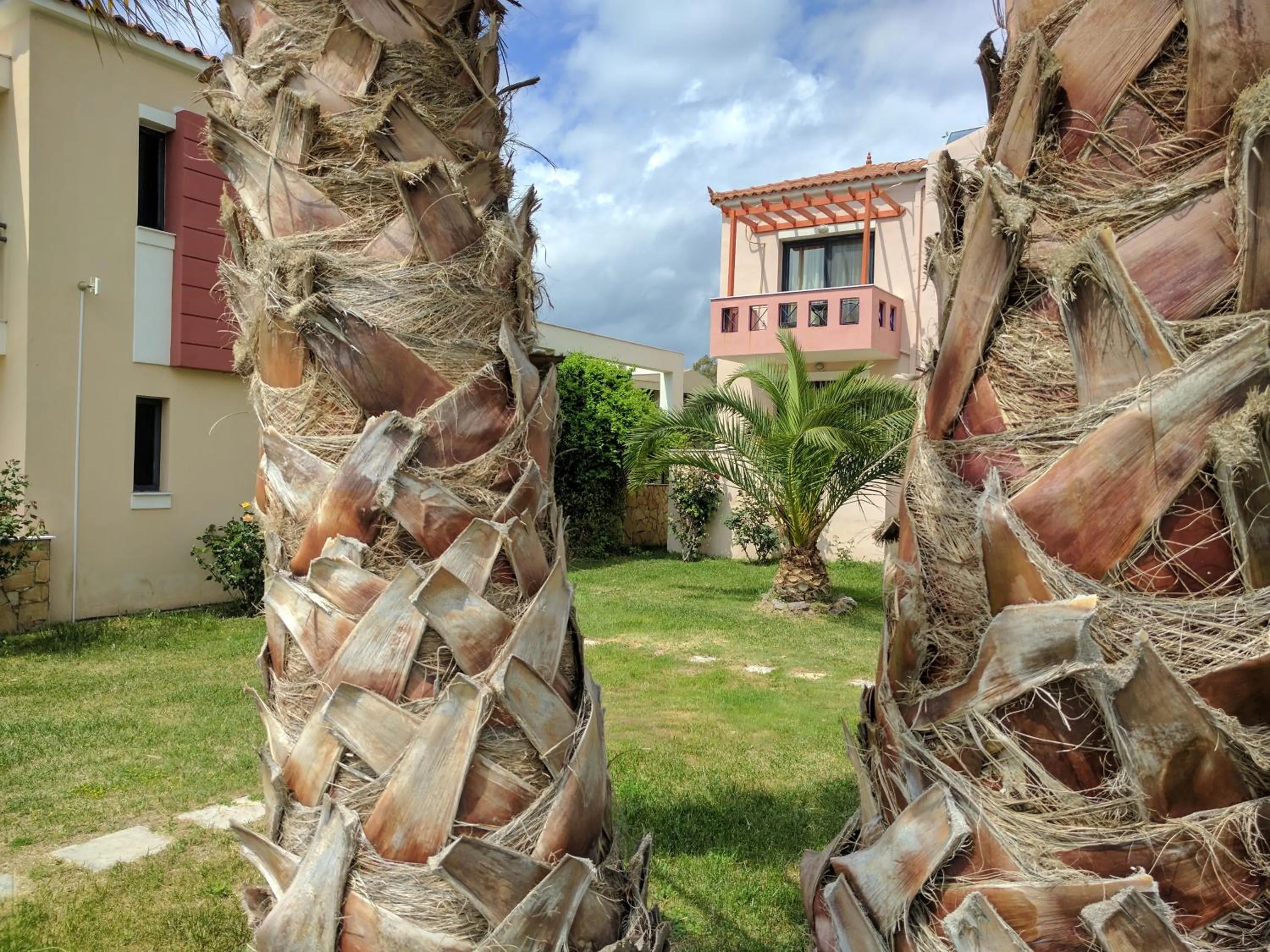 Garden in Aeolian Gaea Hotel