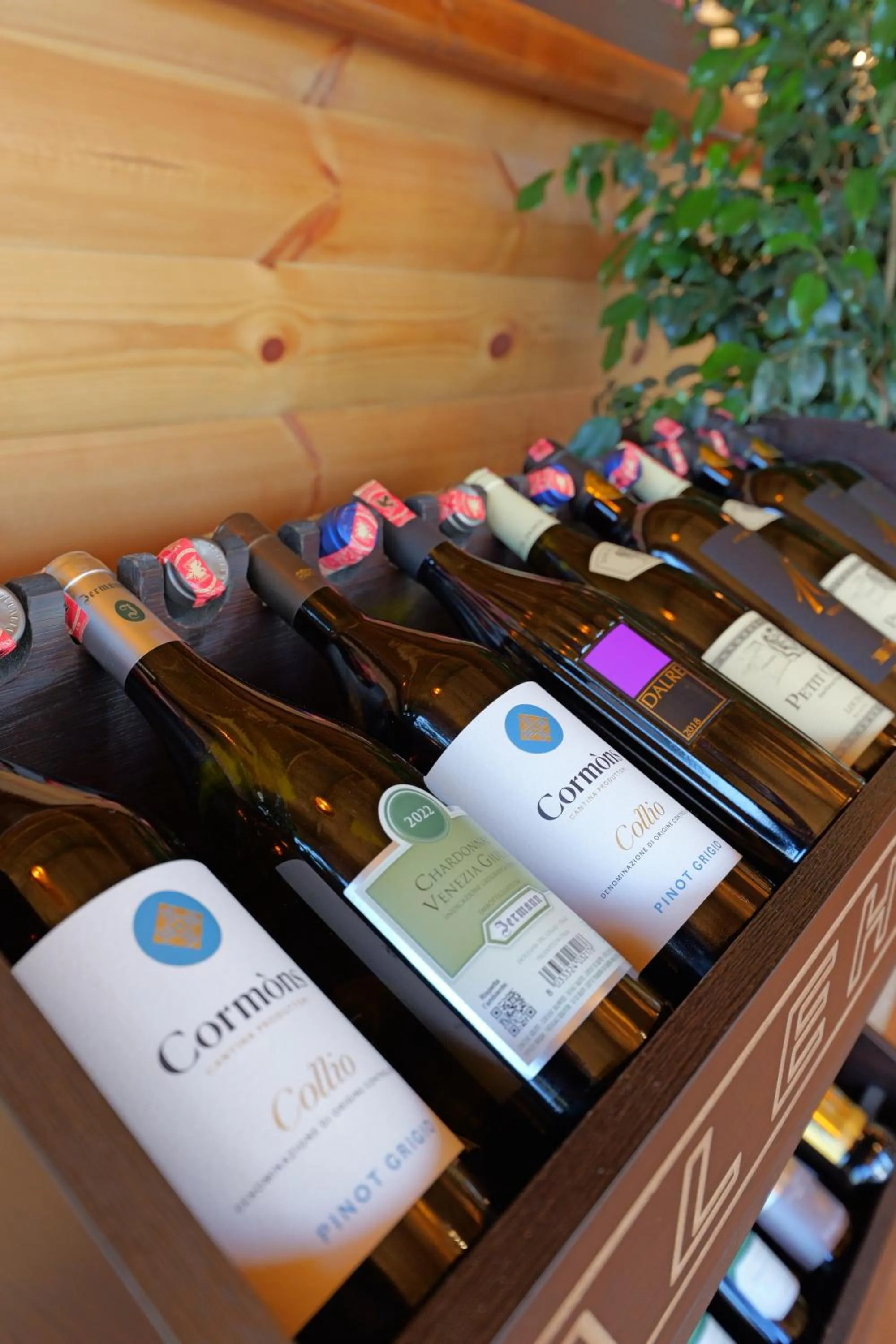 Food and drinks in Mesopotam Agrotourism Resort