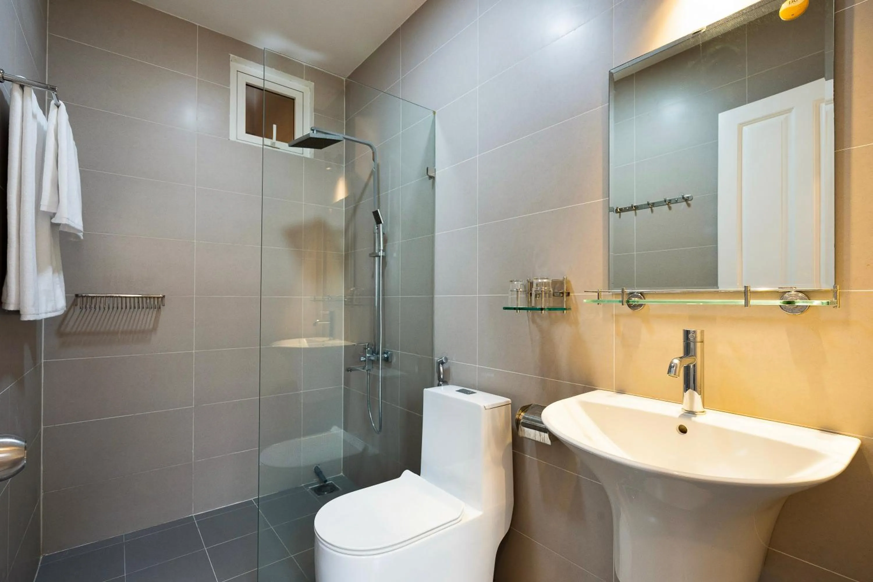 Toilet in HemTouch House