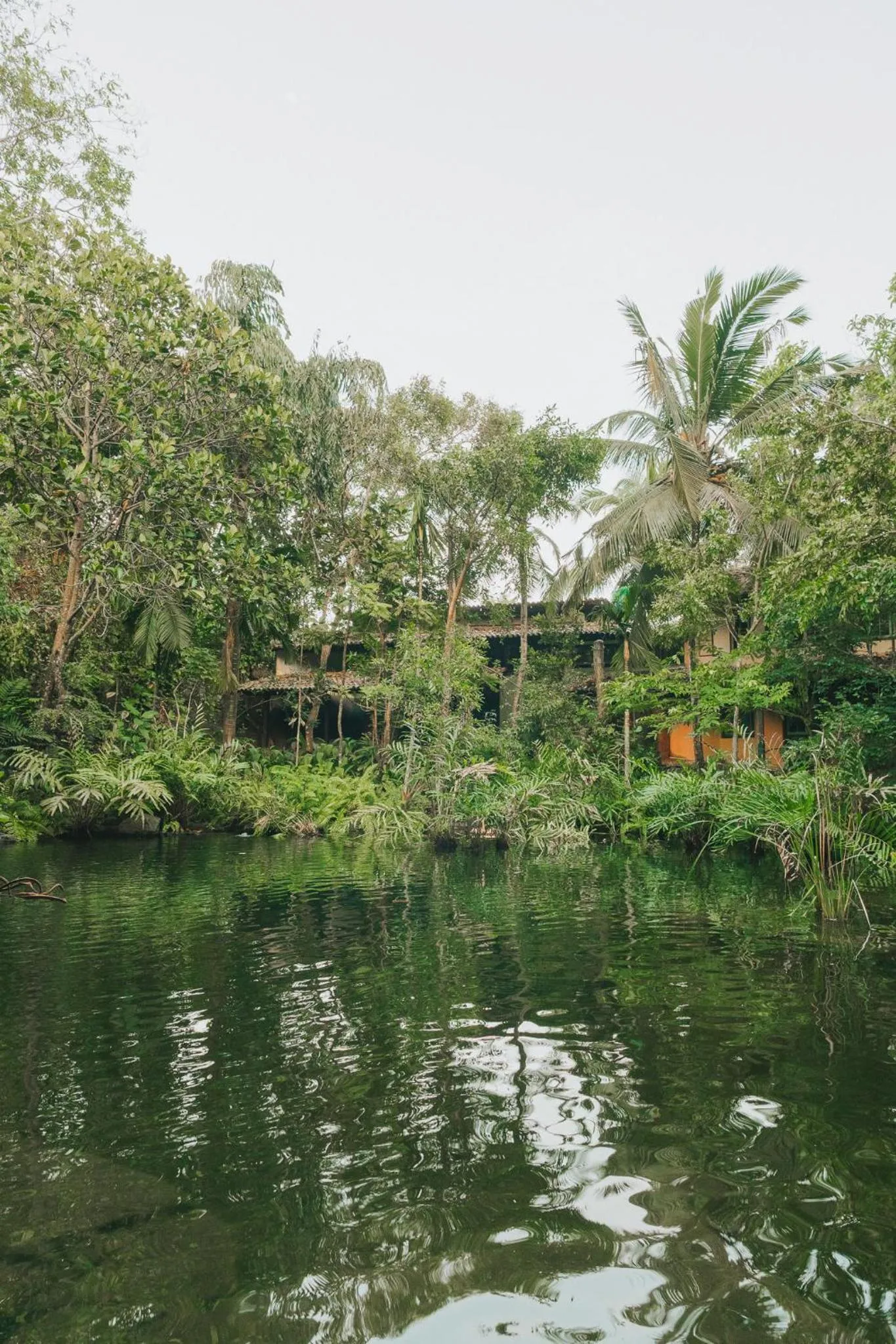Swimming pool in Sama Retreats - Kosgoda