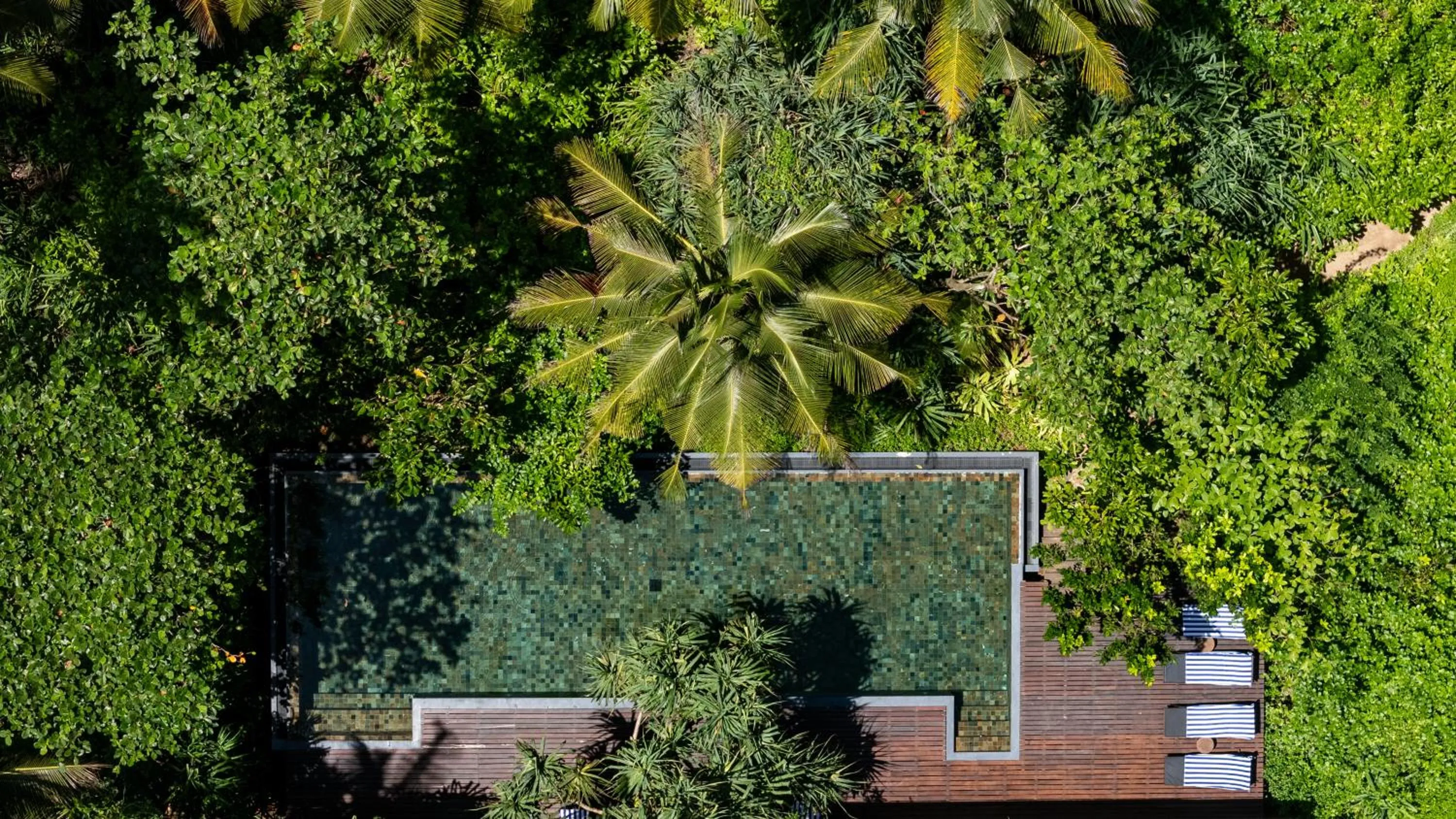 Bird's eye view in Sama Retreats - Kosgoda