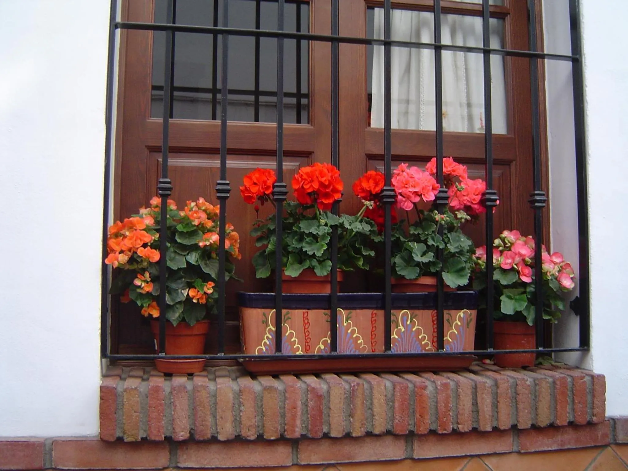 Spring in Hotel Al-Andalus