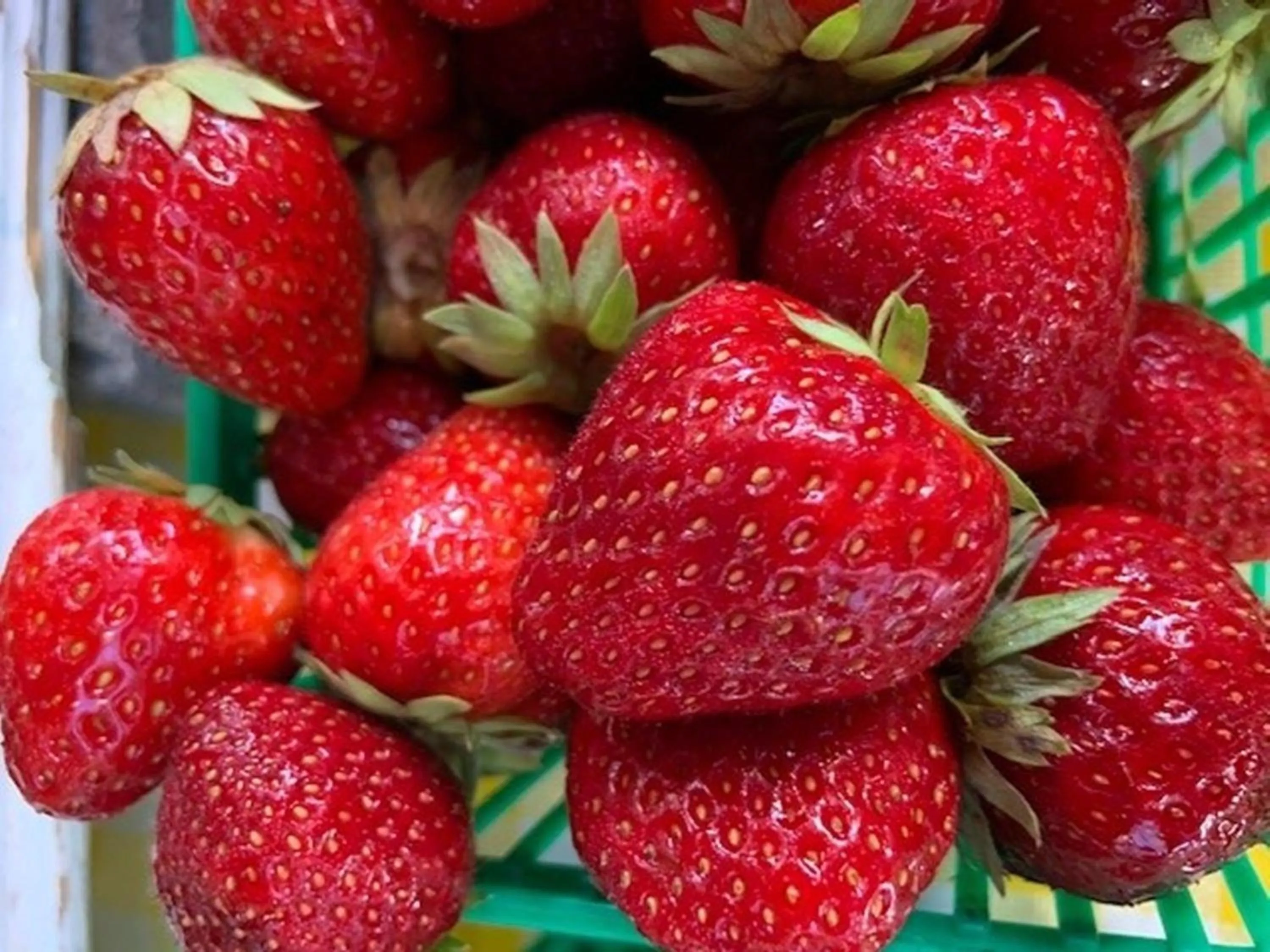 Nearby landmark in Staybridge Suites St. Catharines Conf Ctr by IHG