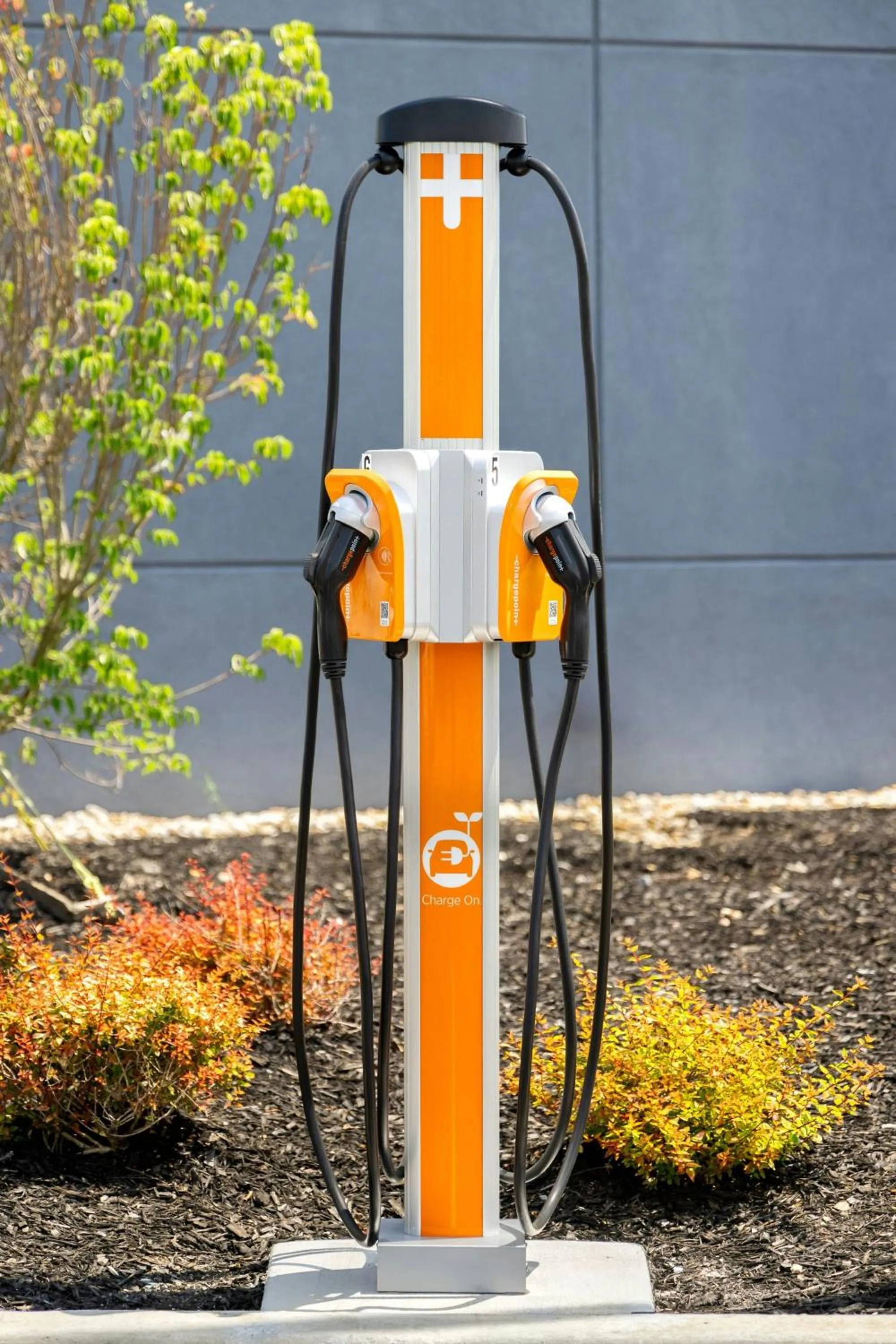 Other in Element Cartersville