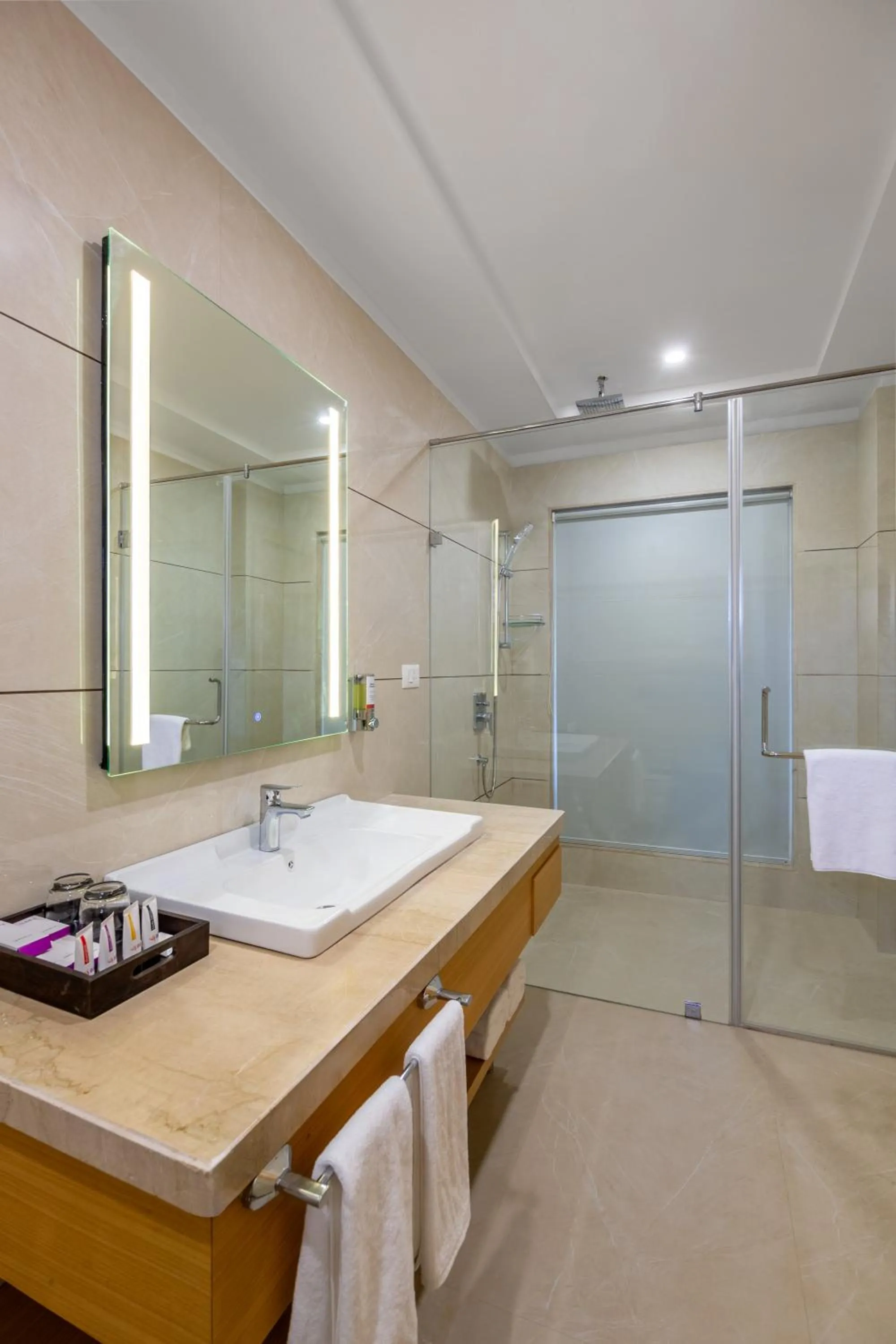 Bathroom in Sterling Aravalli Udaipur
