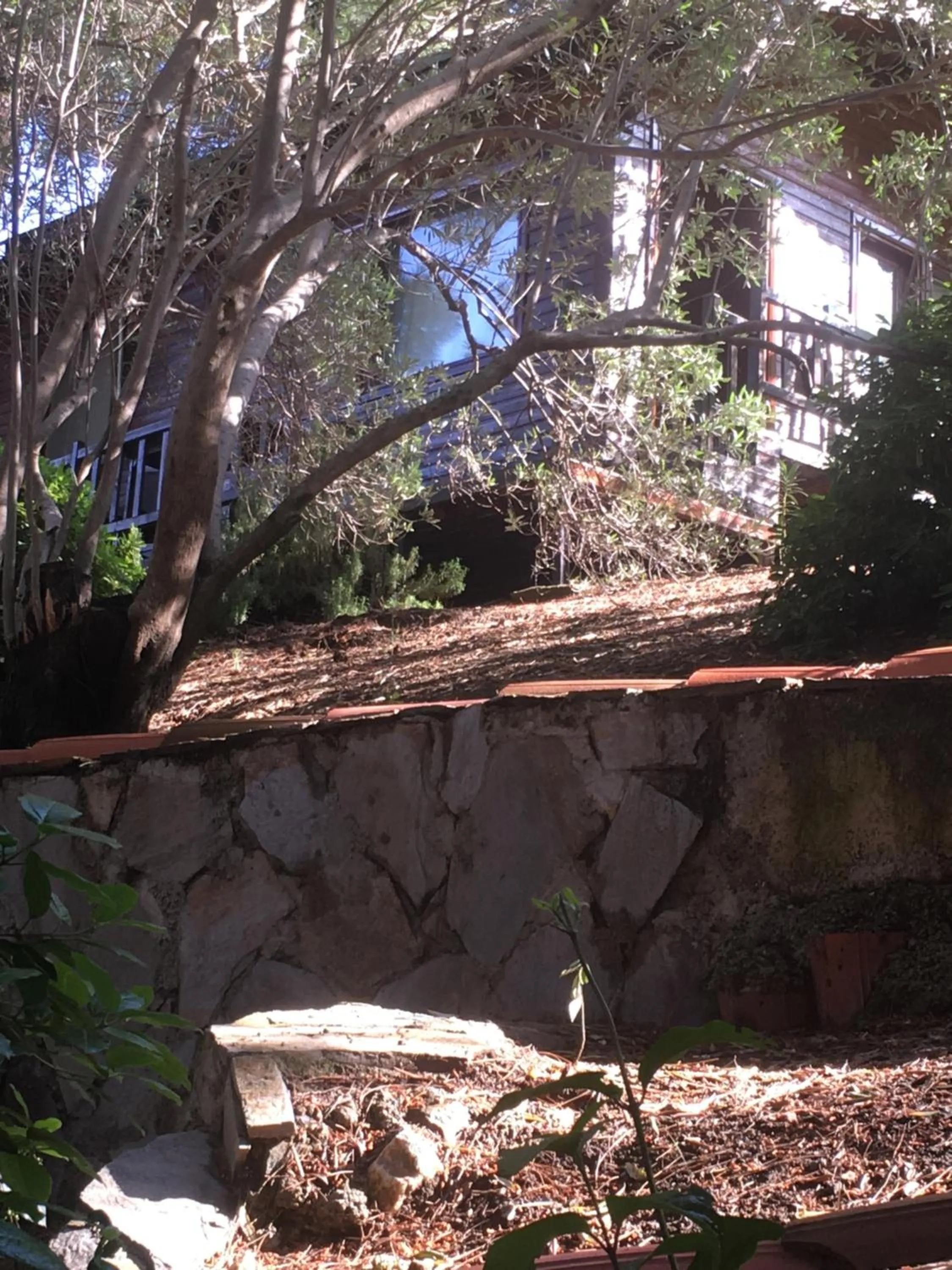 Natural landscape in Dusler Vadisi Kazdaglari