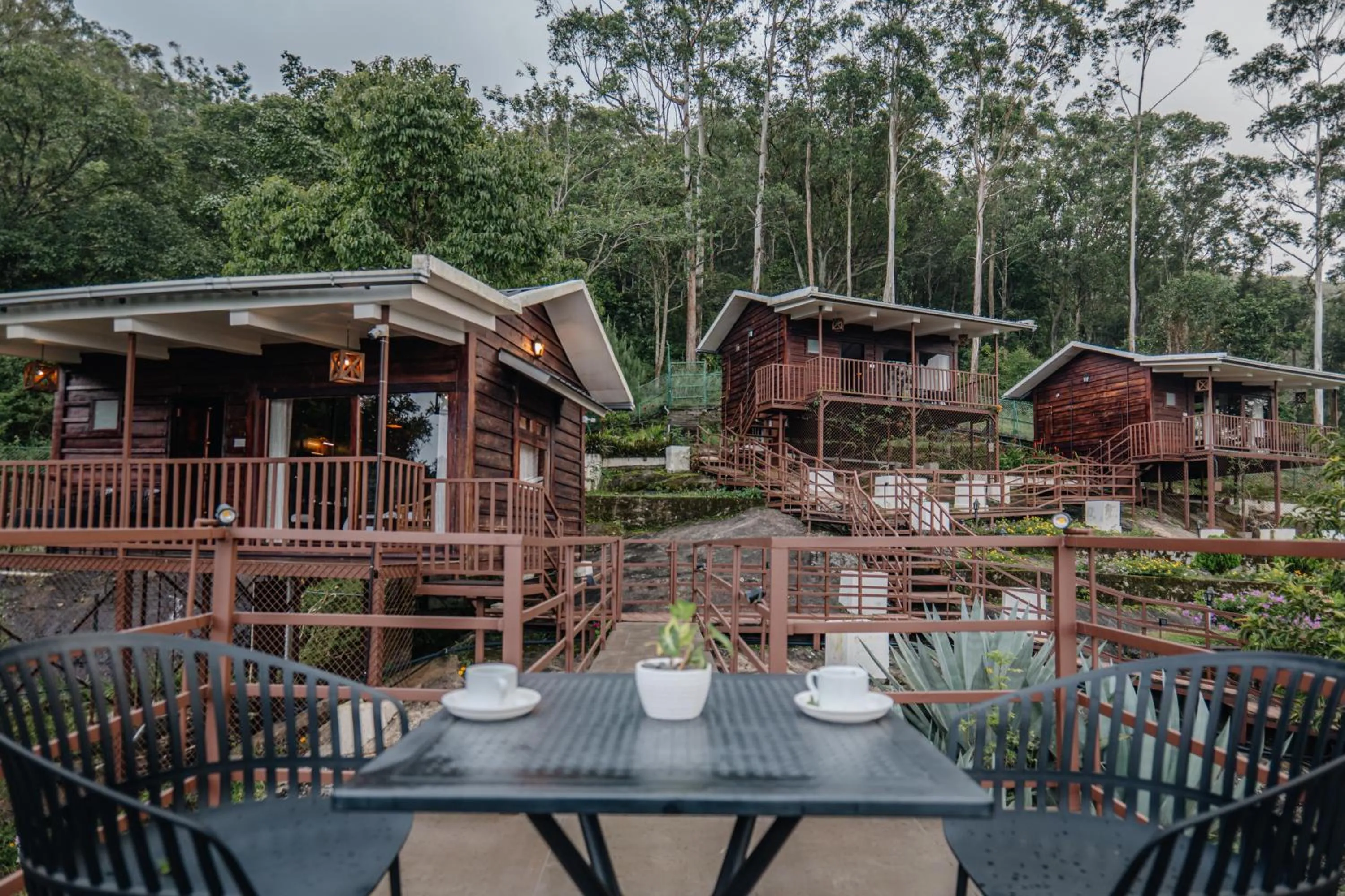 Hilltop Munnar by Fracspace