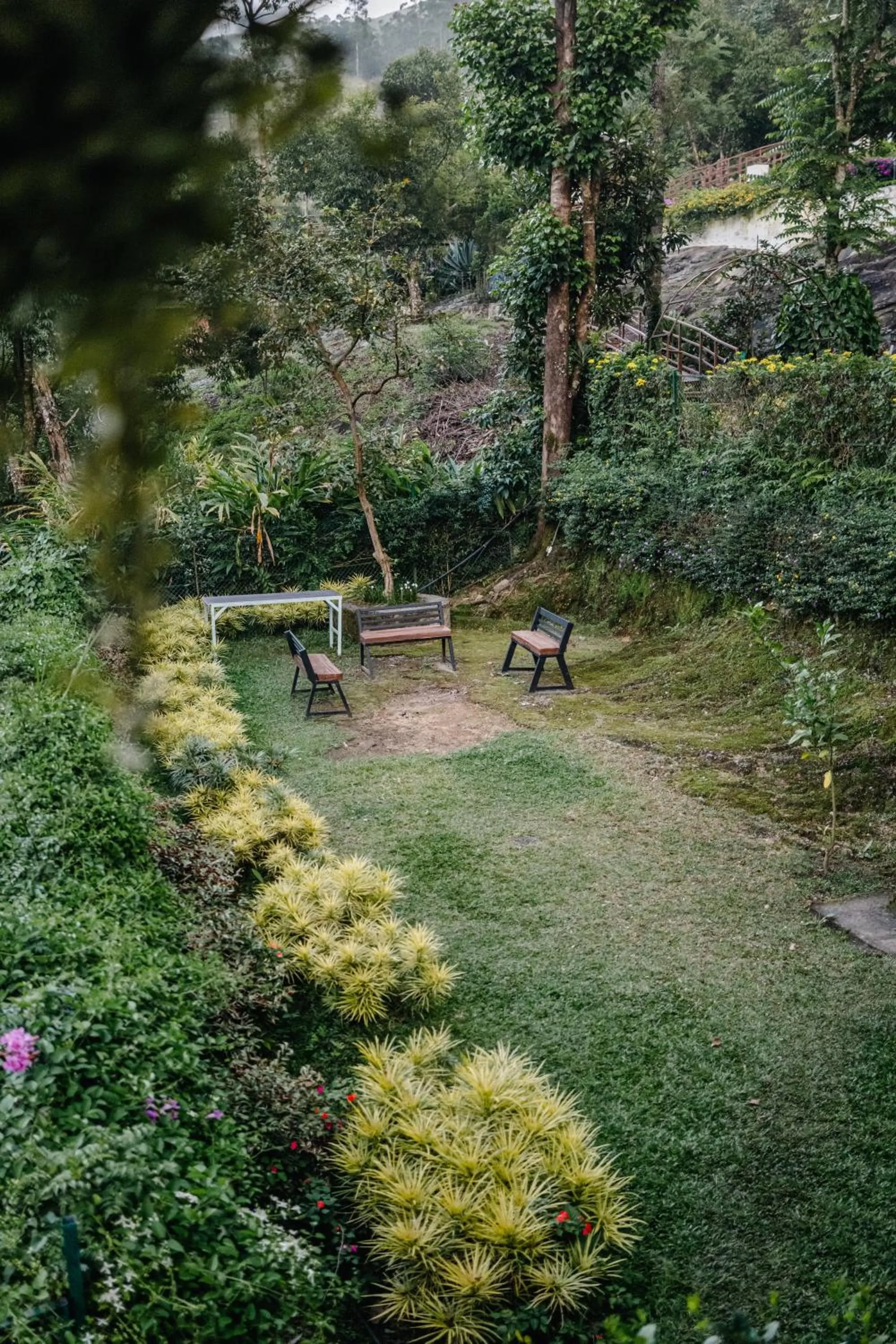 Hilltop Munnar by Fracspace