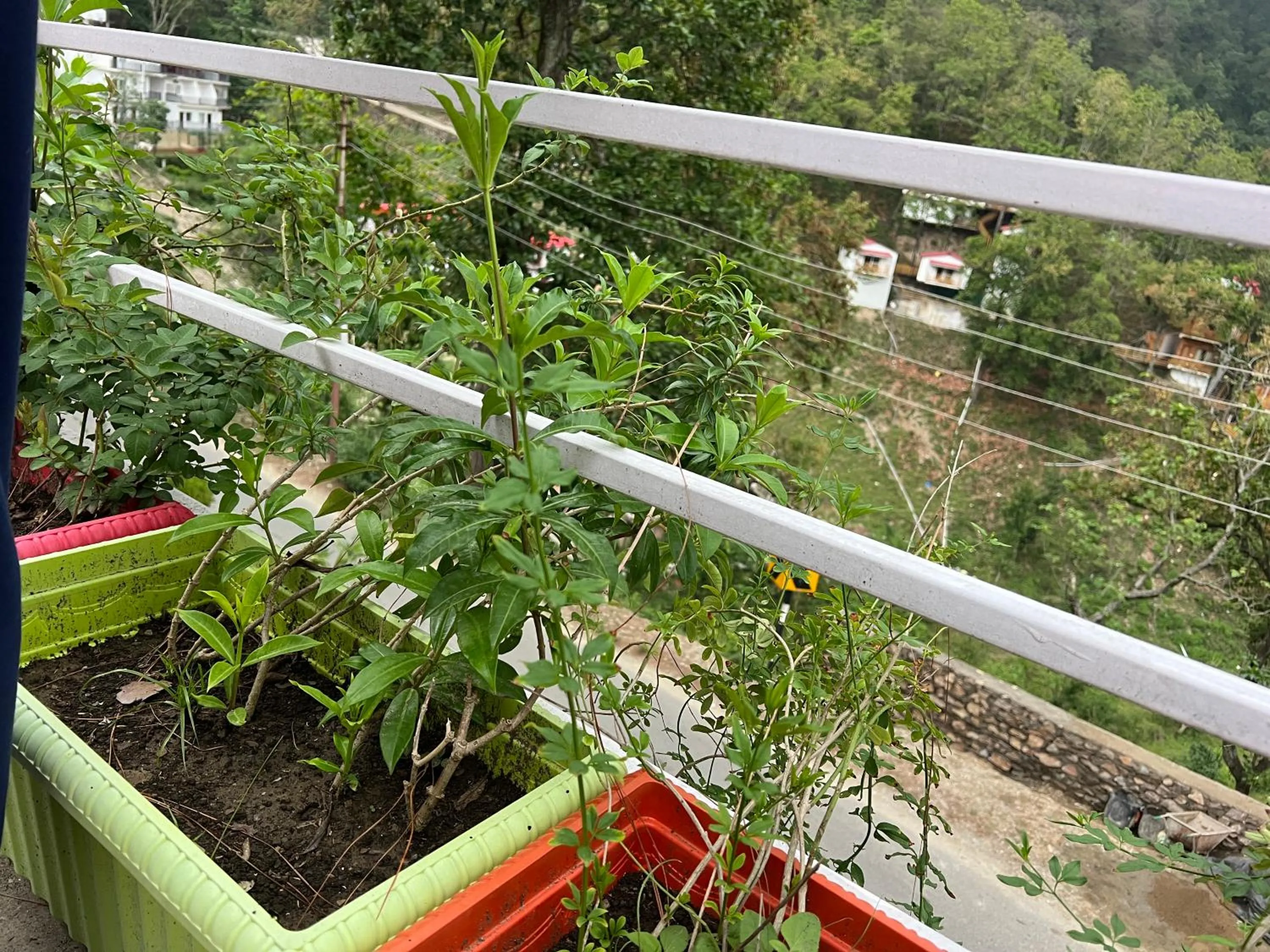 View (from property/room) in The Shalam Resort श्रीकृष्ण शरणं मम