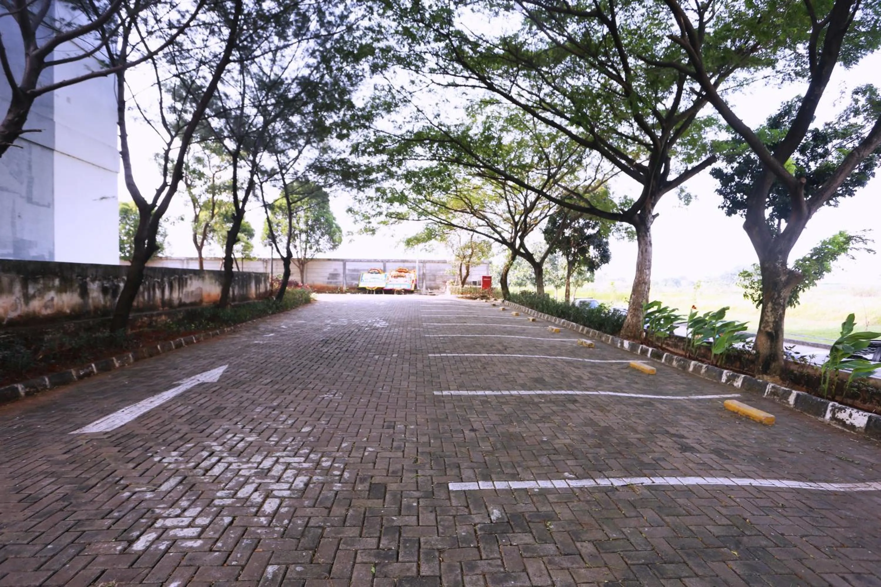 Day in The Enviro Nusantara By Reccoma