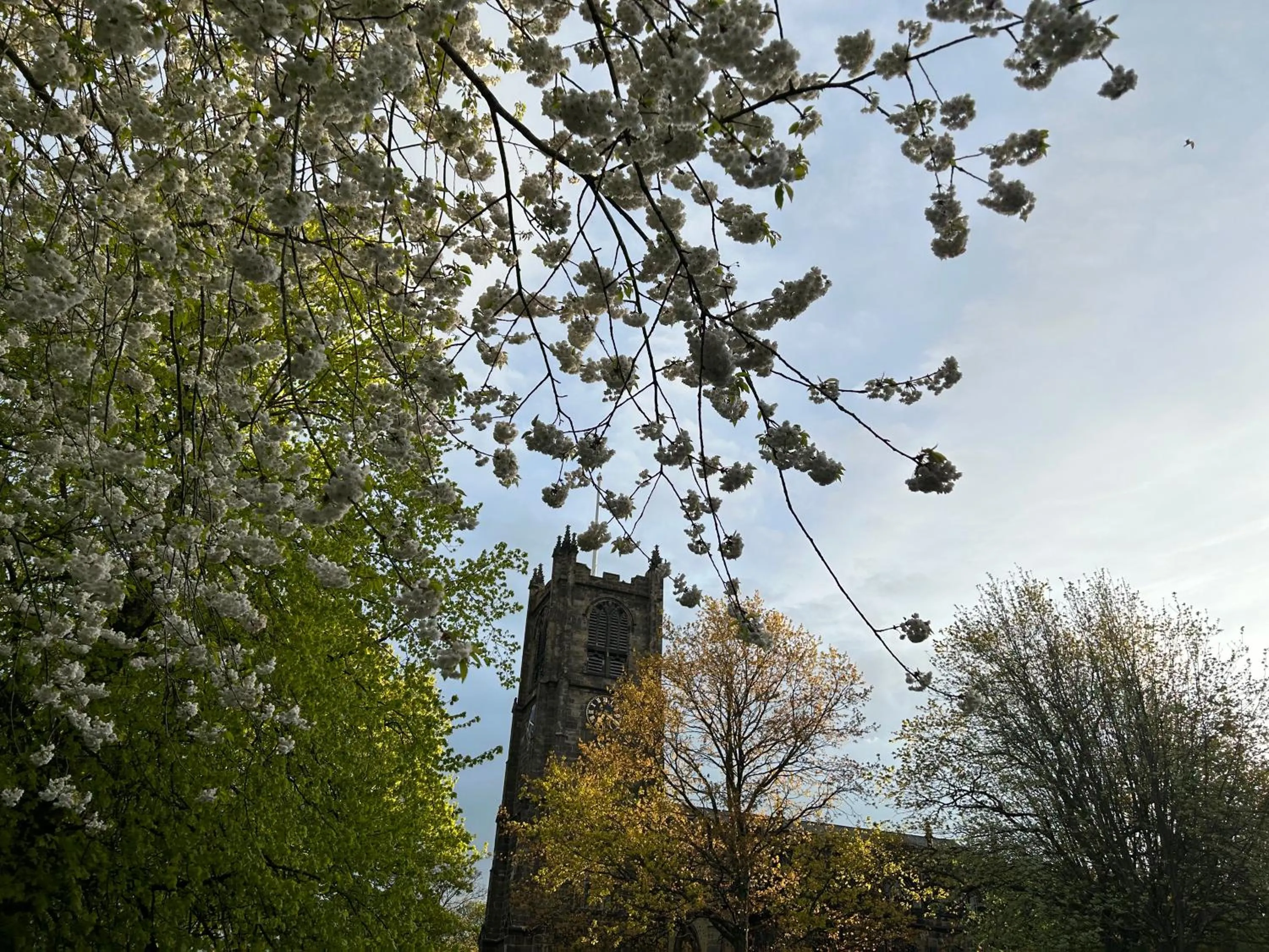 Natural landscape in Secret Suites