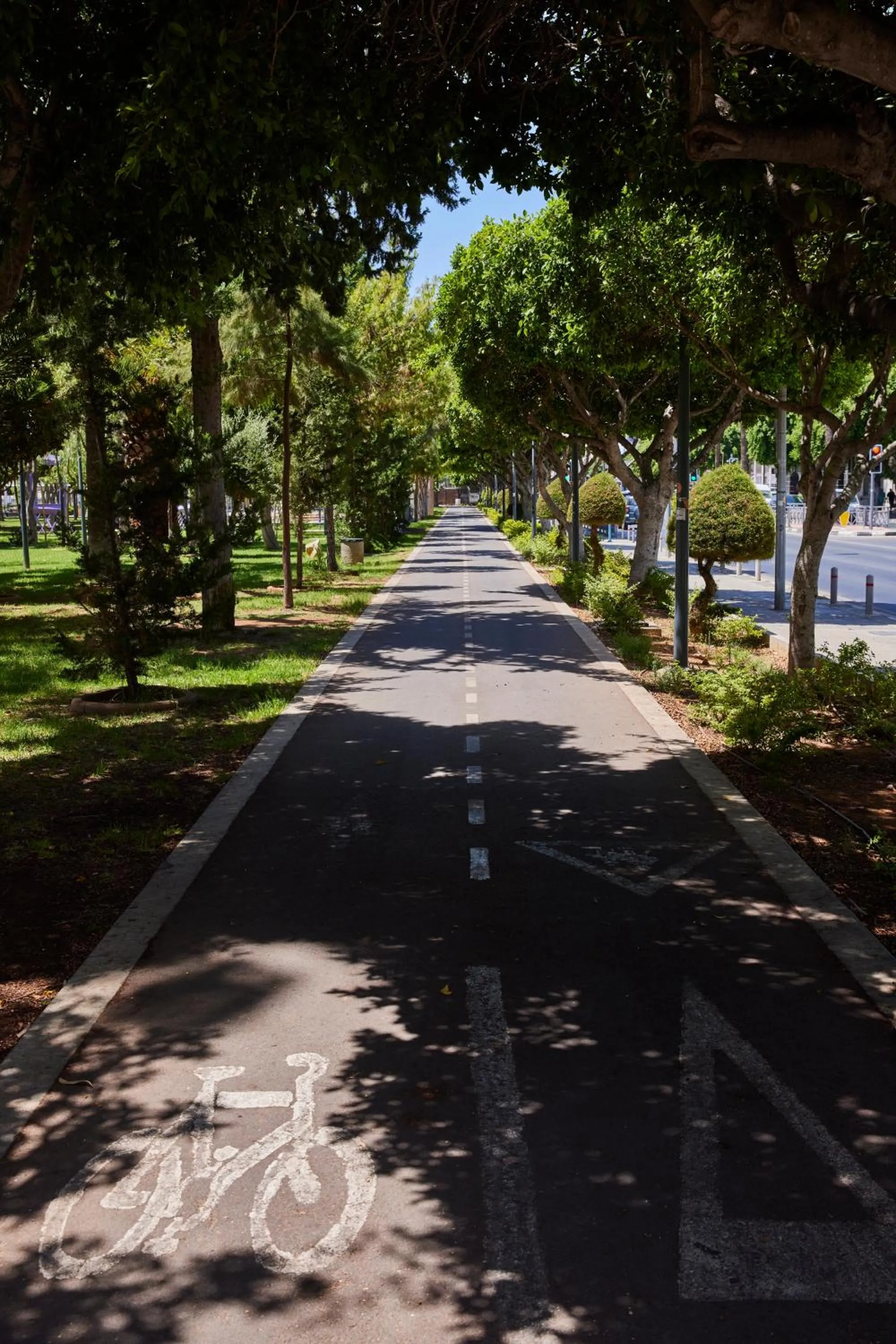 Area and facilities in White City Limassol