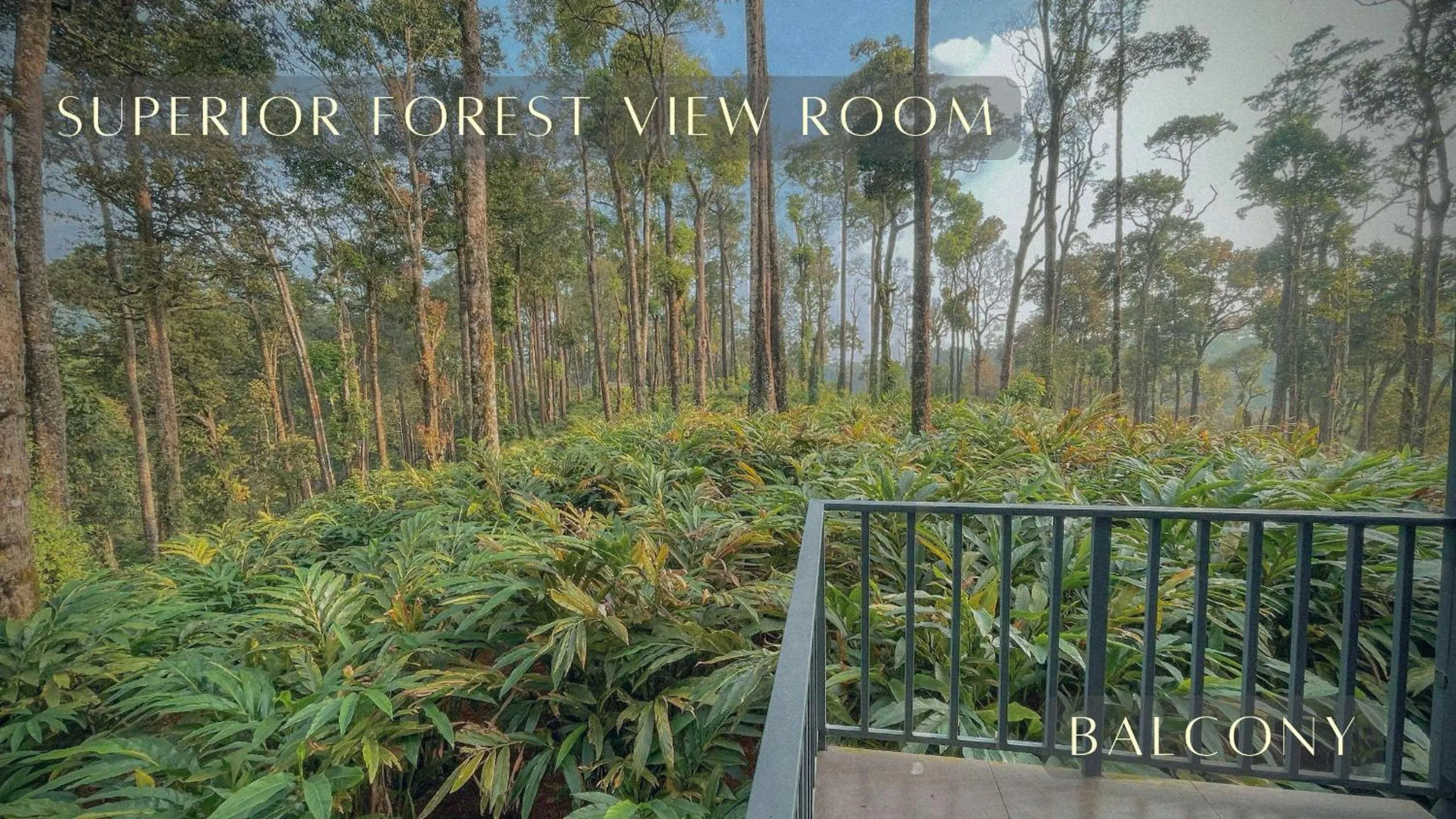 Natural landscape in Forestscape Resort Munnar