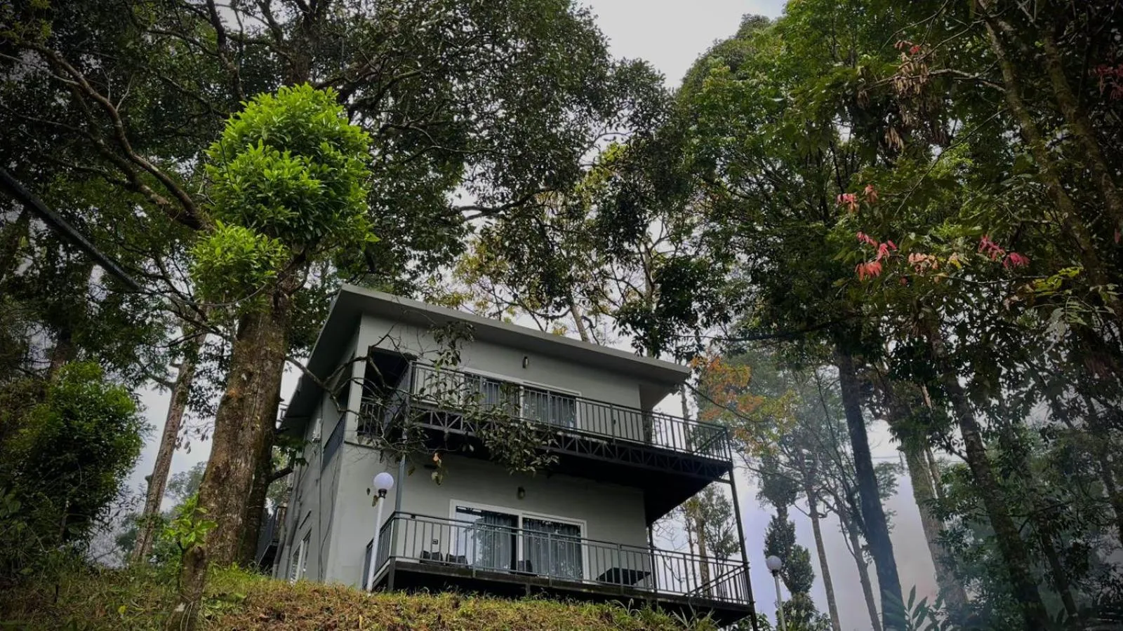 Natural landscape in Forestscape Resort Munnar
