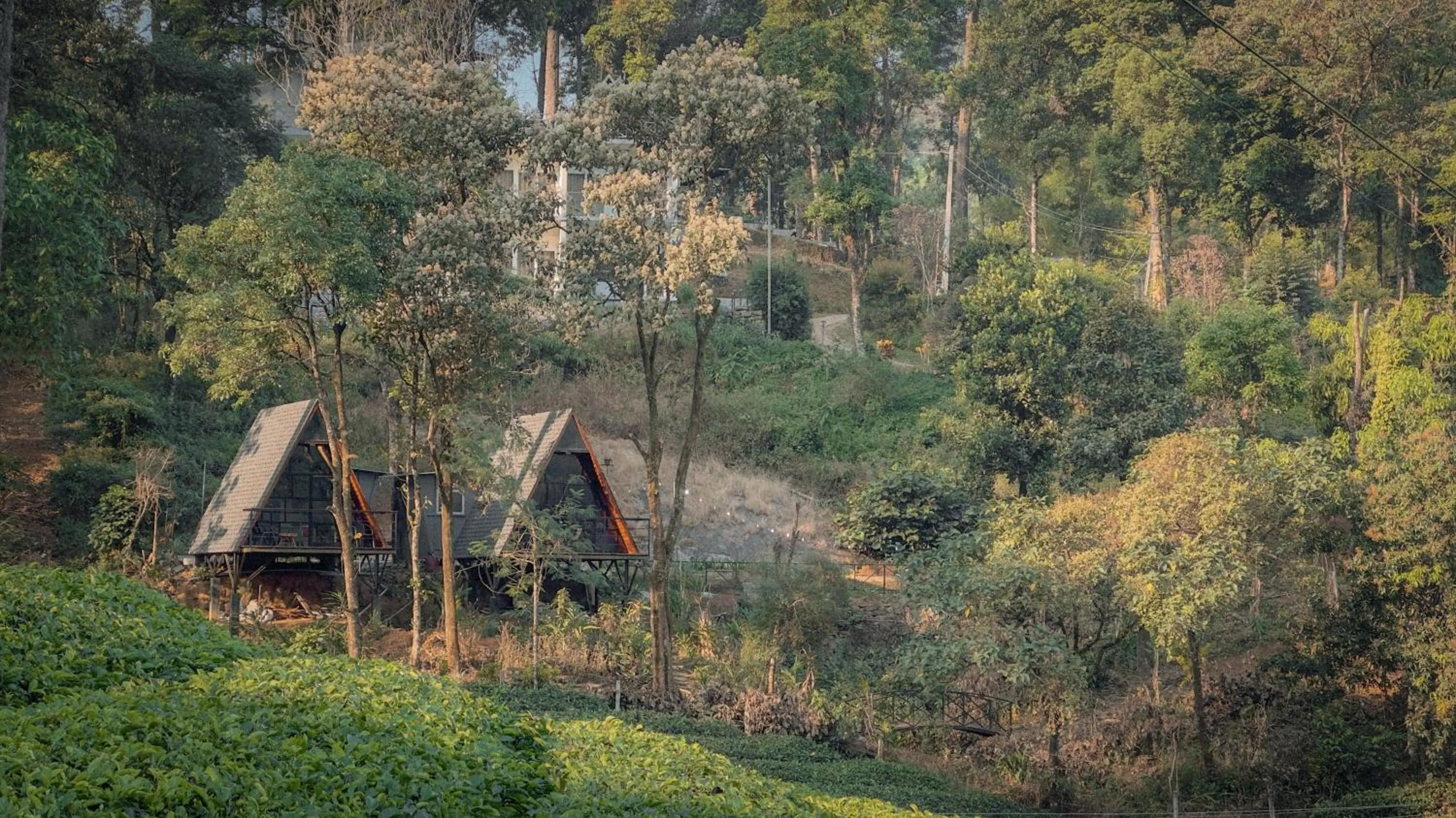Natural landscape in Forestscape Resort Munnar