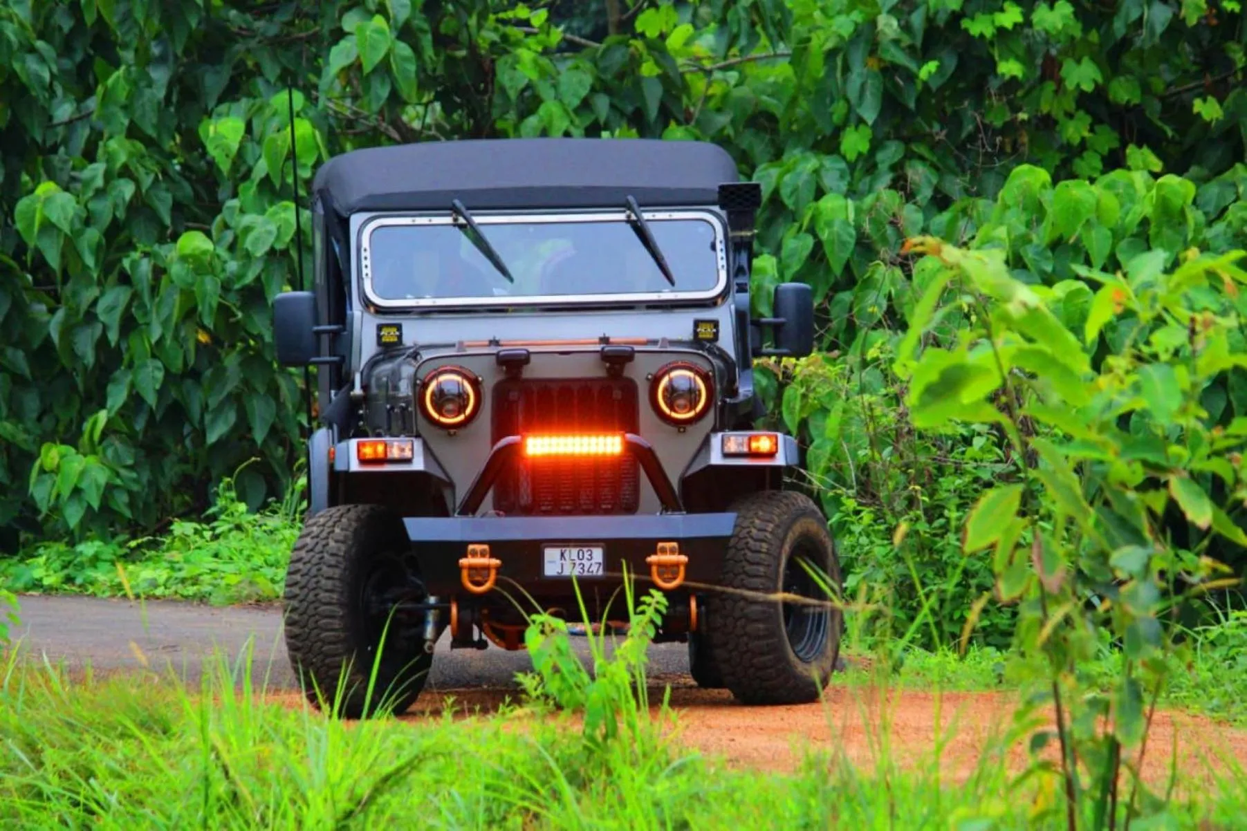 Activities in Forestscape Resort Munnar