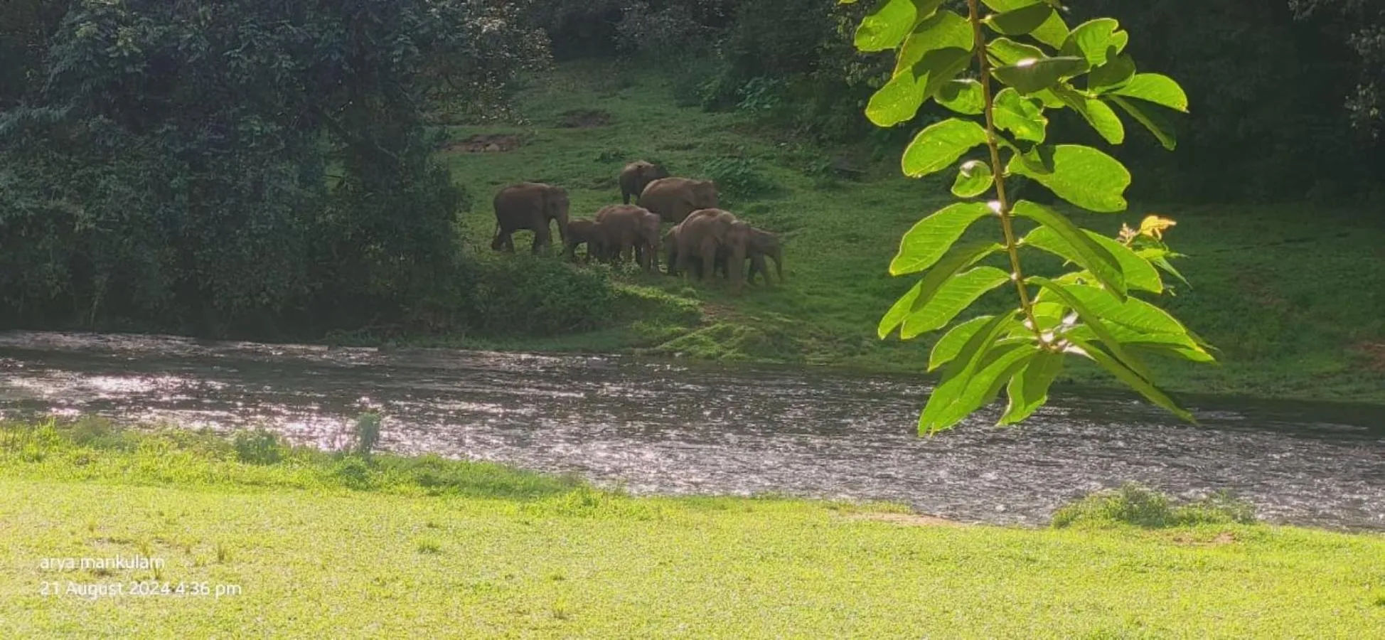 Nearby landmark in Forestscape Resort Munnar