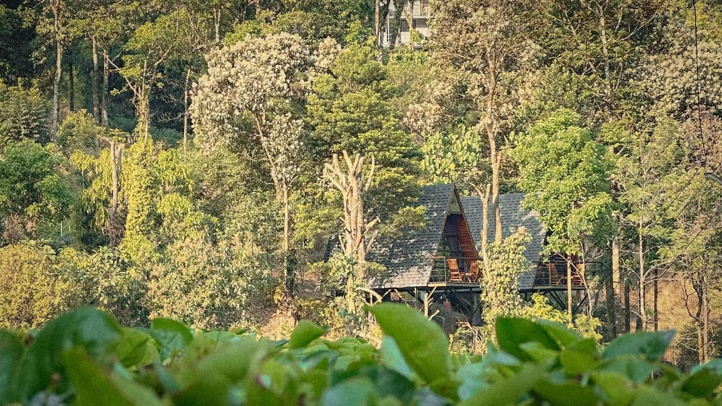 Natural landscape in Forestscape Resort Munnar