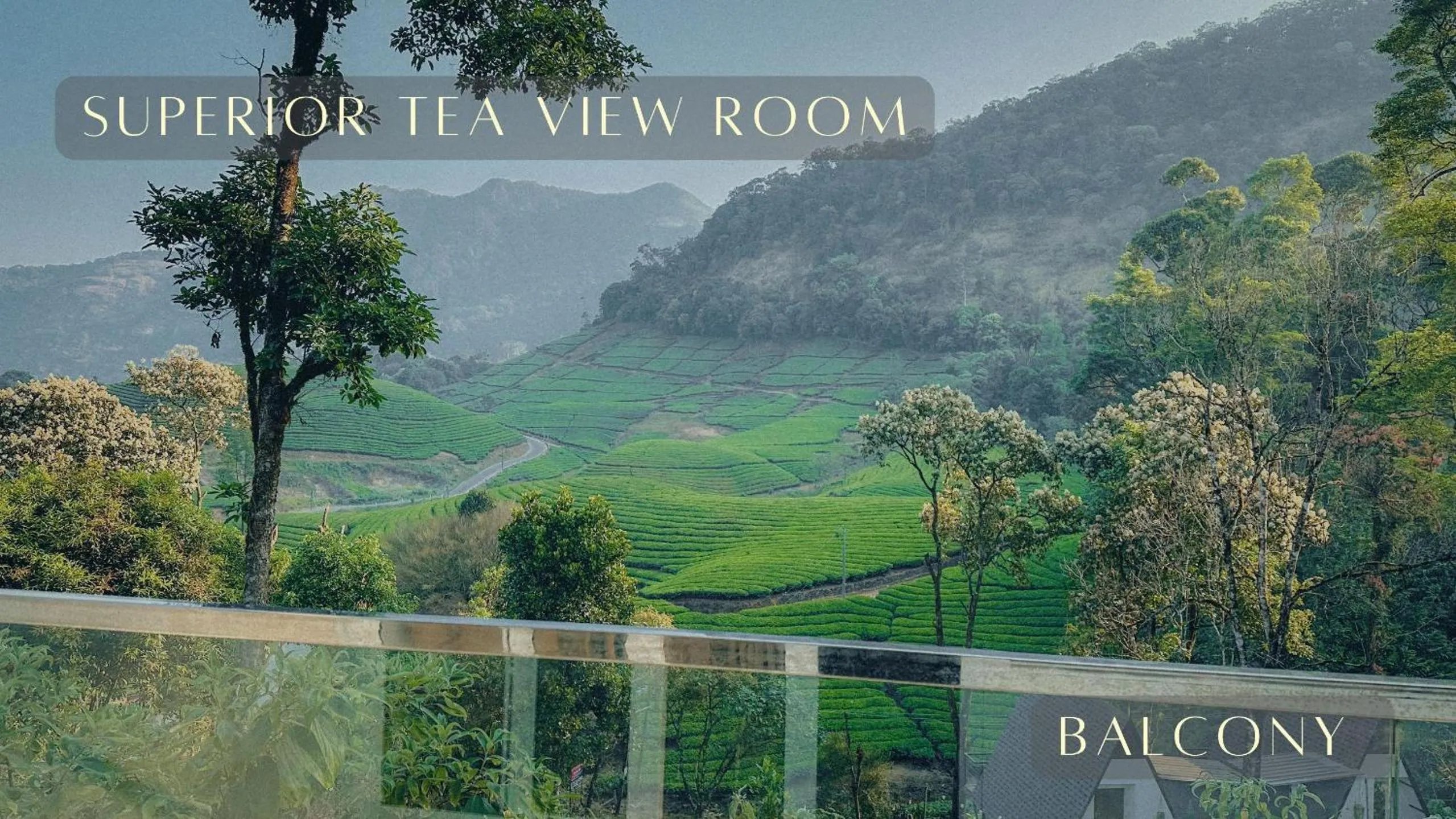 Nearby landmark in Forestscape Resort Munnar