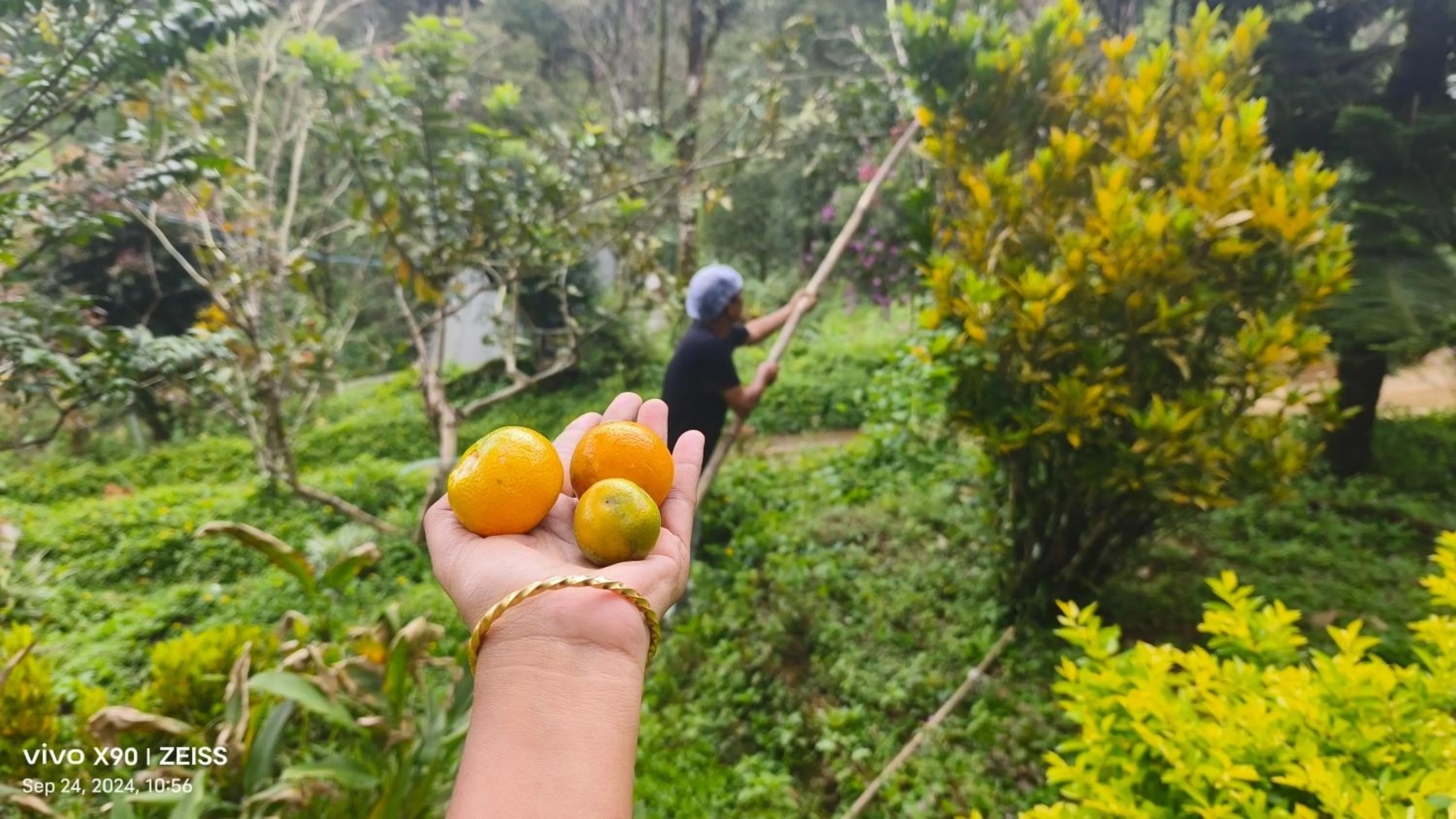 Garden in Forestscape Resort Munnar