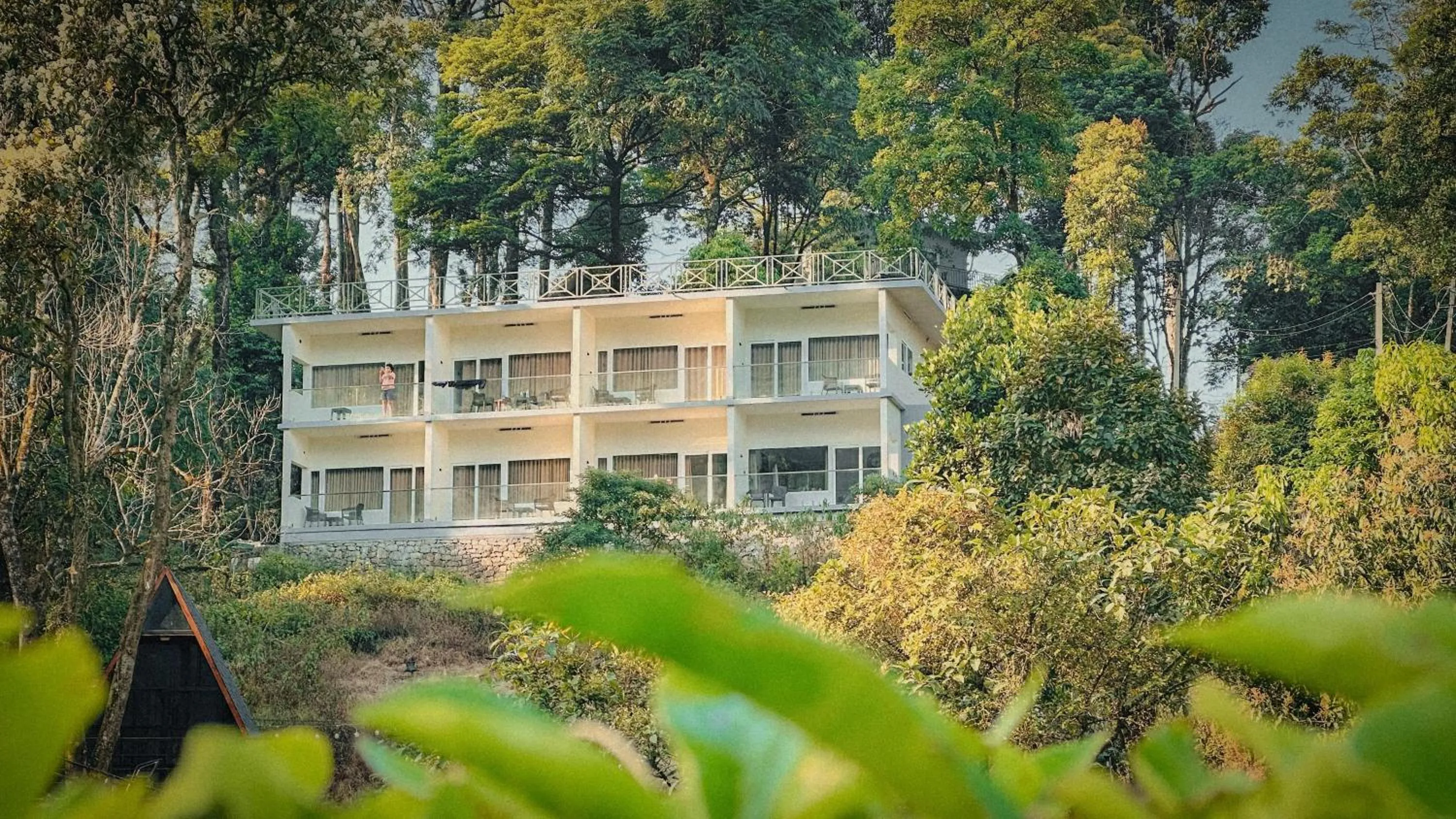 Property building in Forestscape Resort Munnar