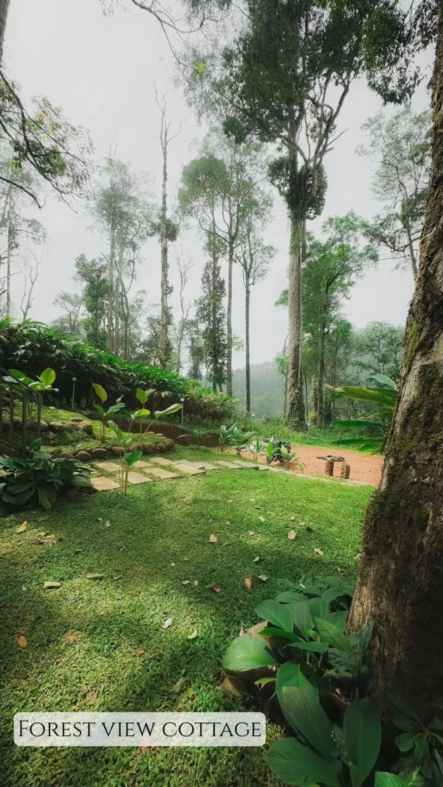 Garden in Forestscape Resort Munnar